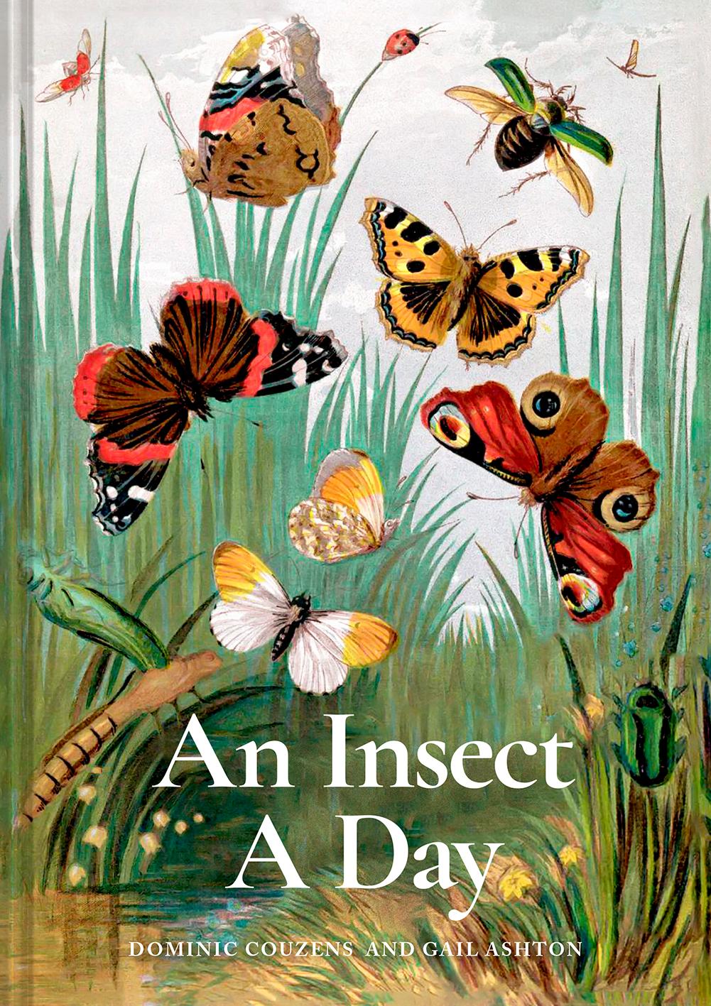 An Insect A Day