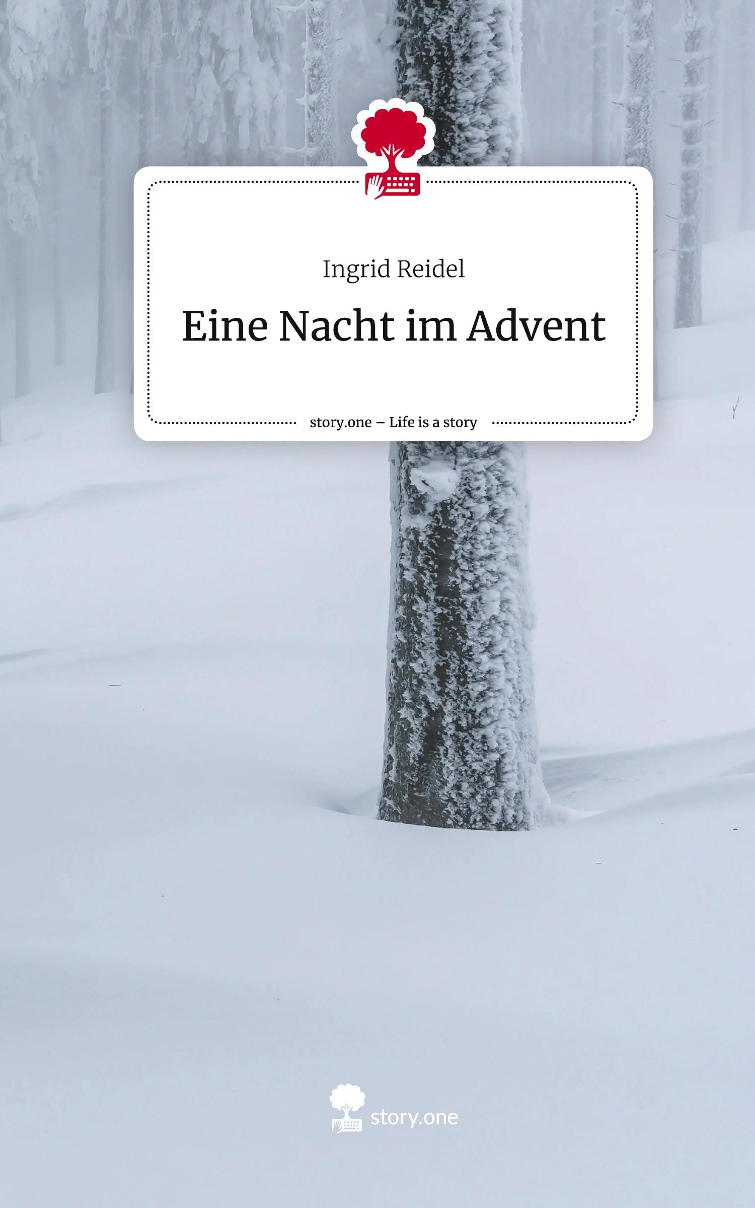 Eine Nacht im Advent. Life is a Story - story.one