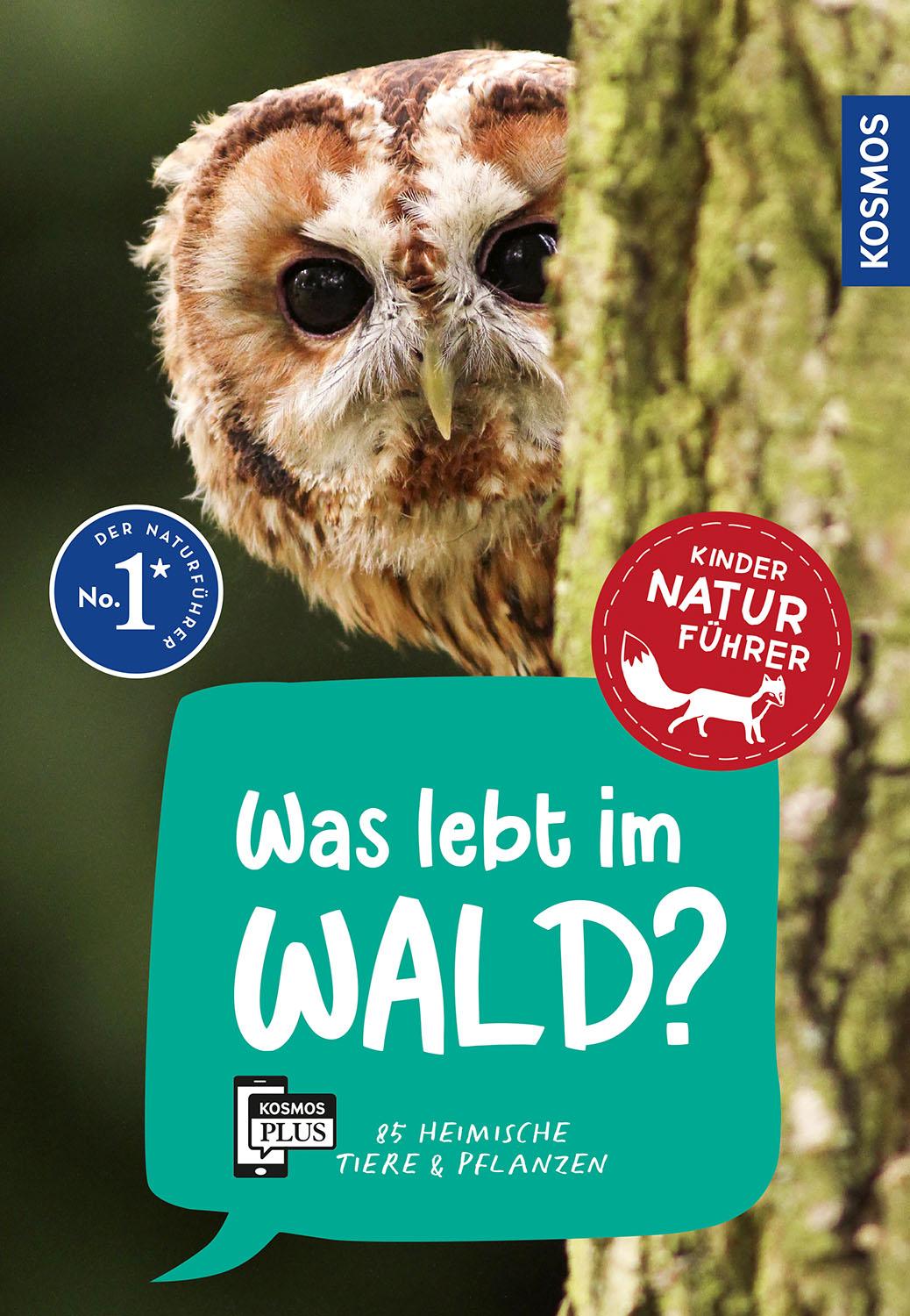 Was lebt im Wald? Kindernaturführer