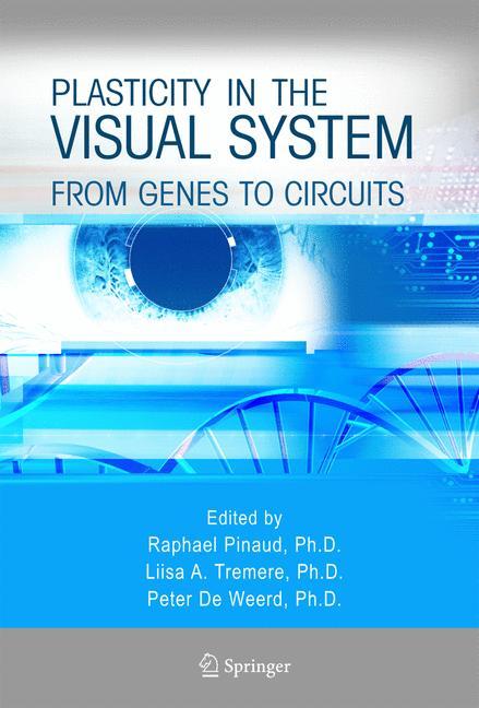 Plasticity in the Visual System