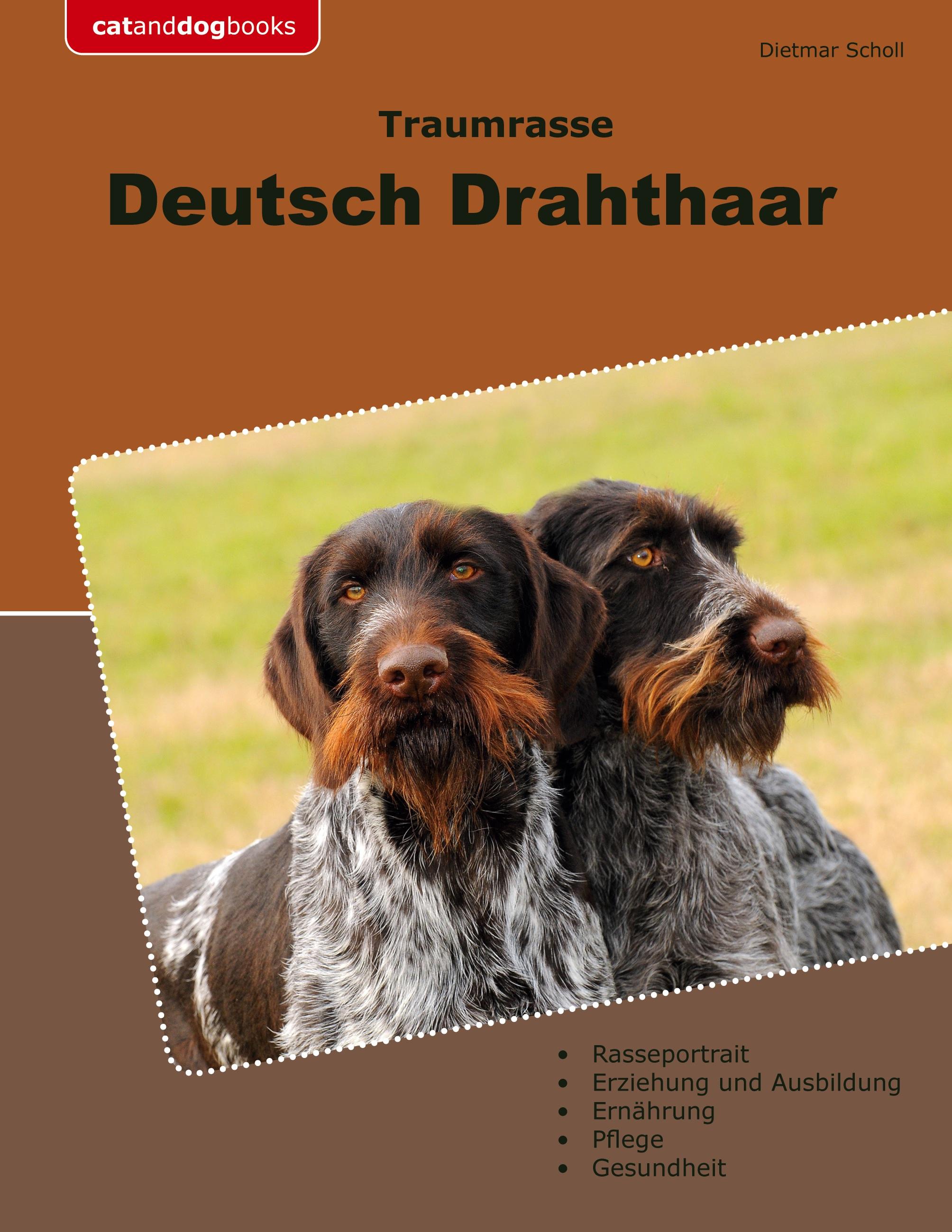 Traumrasse Deutsch Drahthaar