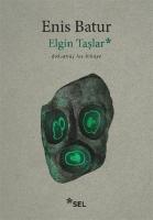 Elgin Taslar