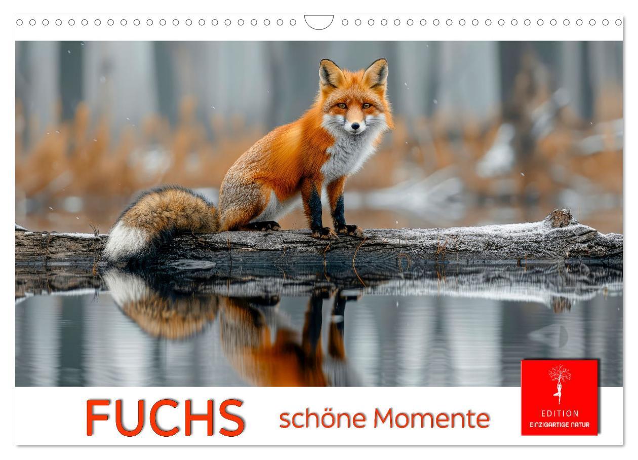 Fuchs - schöne Momente (Wandkalender 2025 DIN A3 quer), CALVENDO Monatskalender