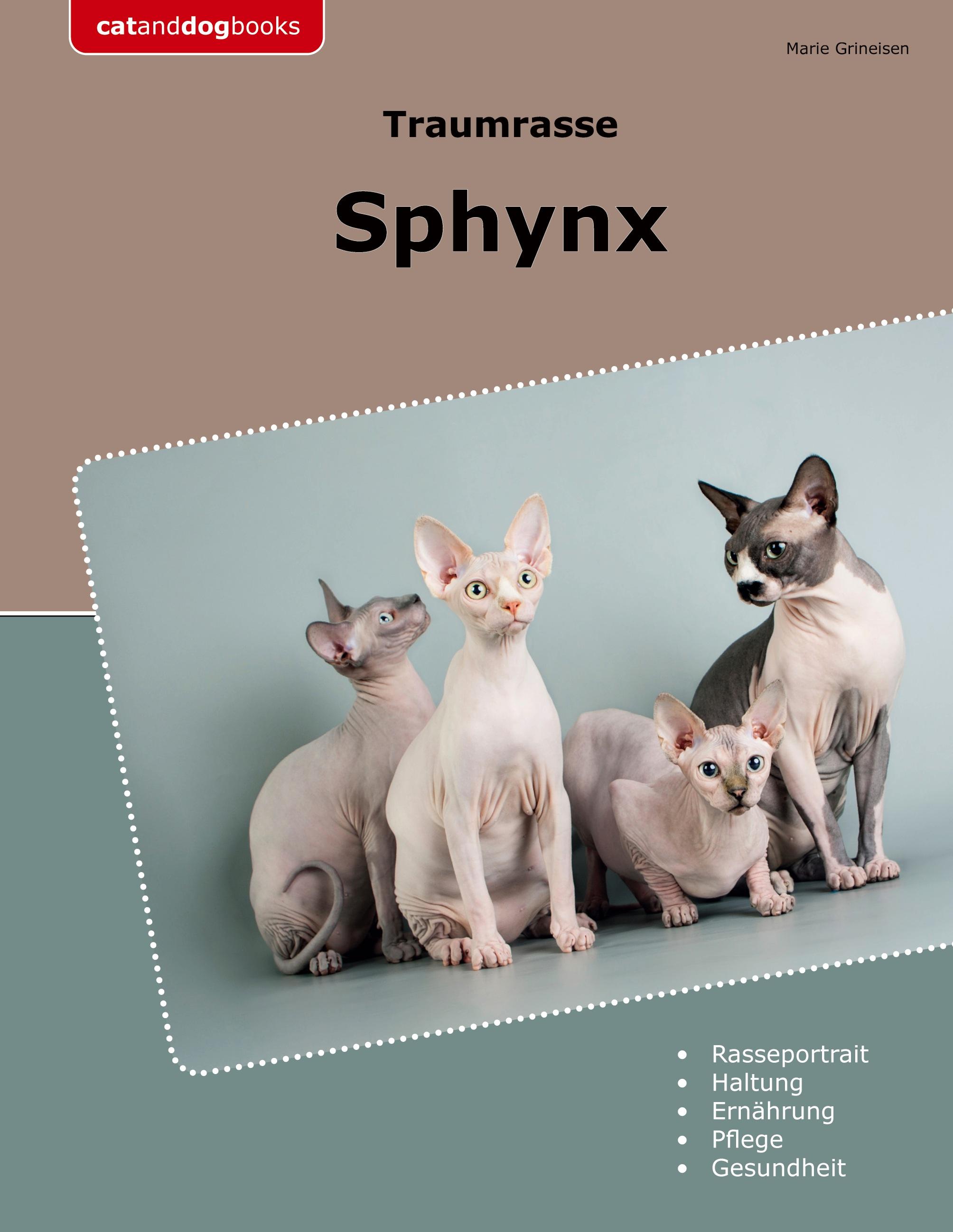 Traumrasse Sphynx