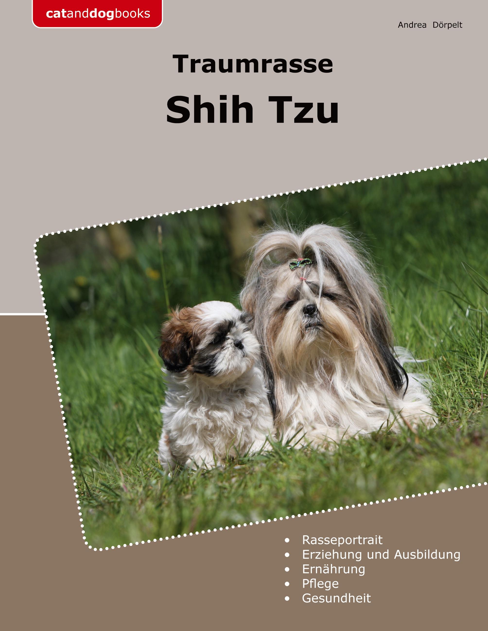 Traumrasse Shih Tzu