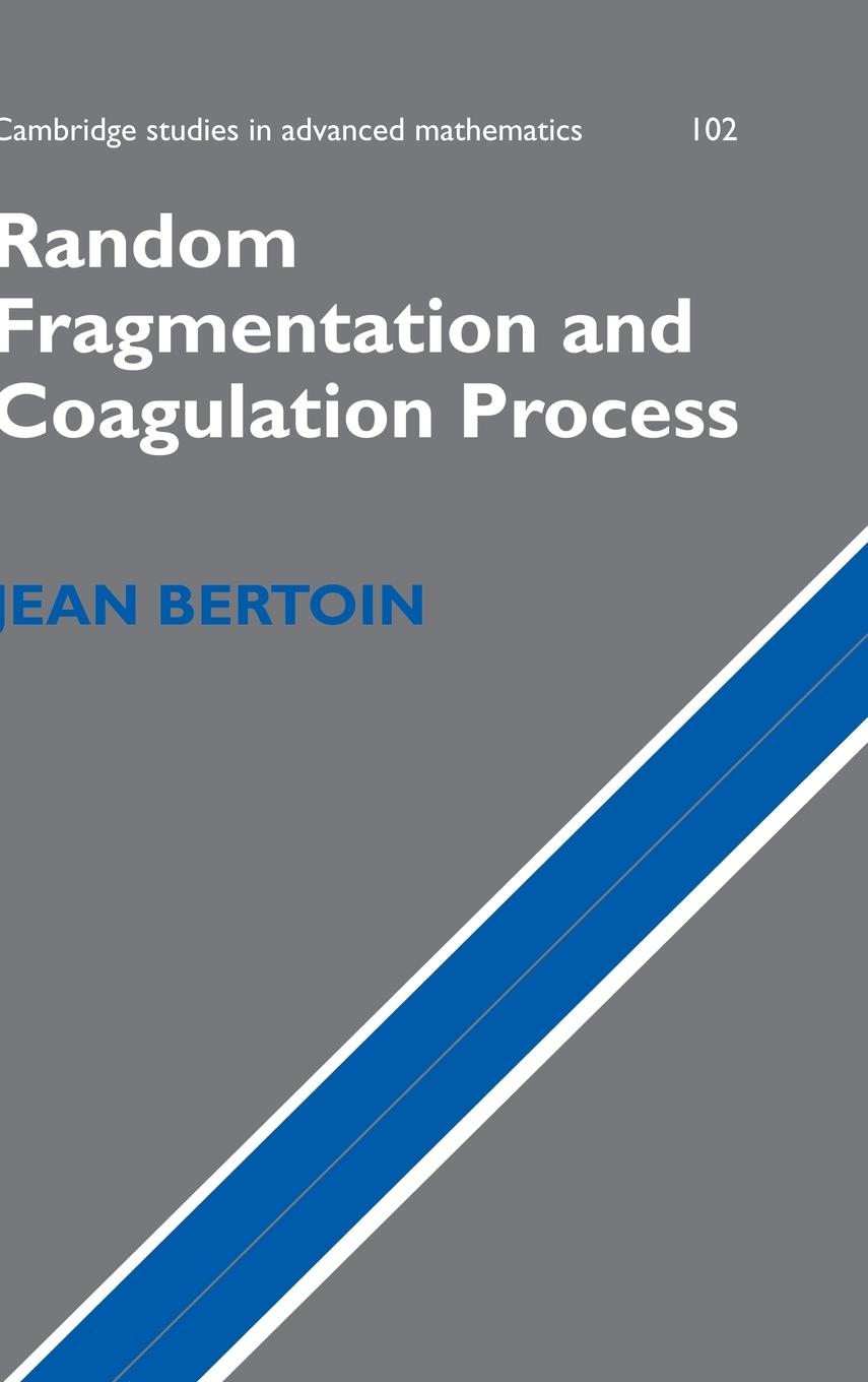 Random Fragmentation and Coagulation Processes