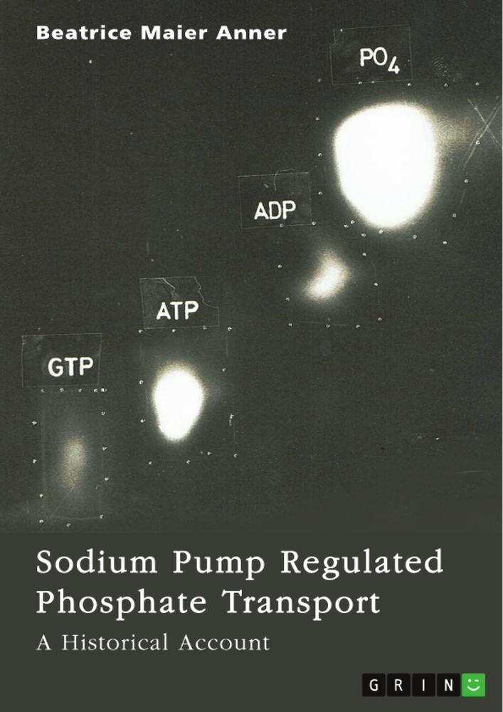 Sodium Pump Regulated Phosphate Transport