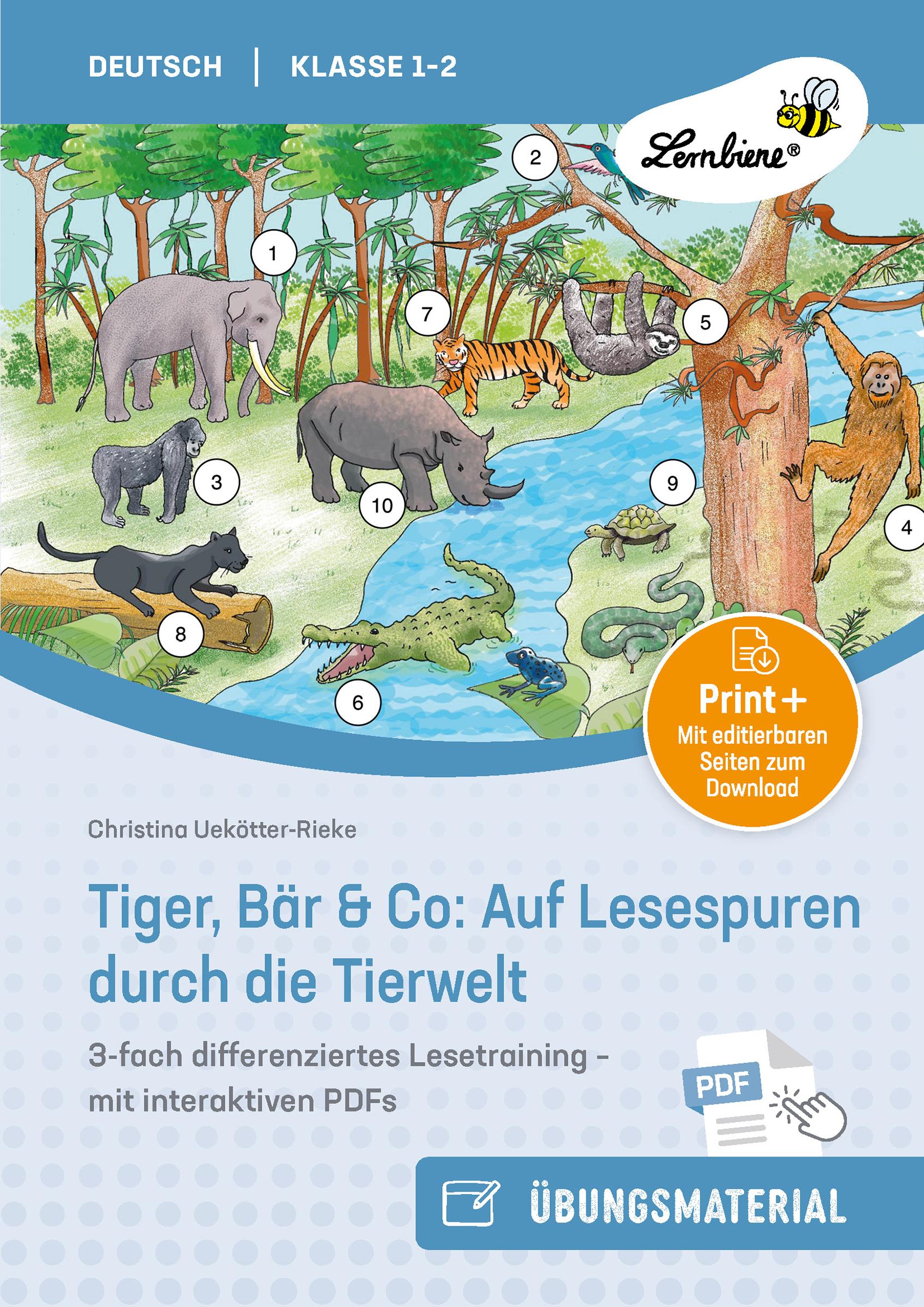 Tiger, Bär & Co: Auf Lesespuren durch die Tierwelt