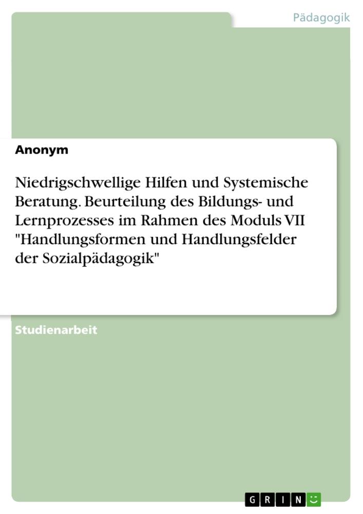 Niedrigschwellige Hilfen und Systemische Beratung. Beurteilung des Bildungs- und Lernprozesses im Rahmen des Moduls VII "Handlungsformen und Handlungsfelder der Sozialpädagogik"