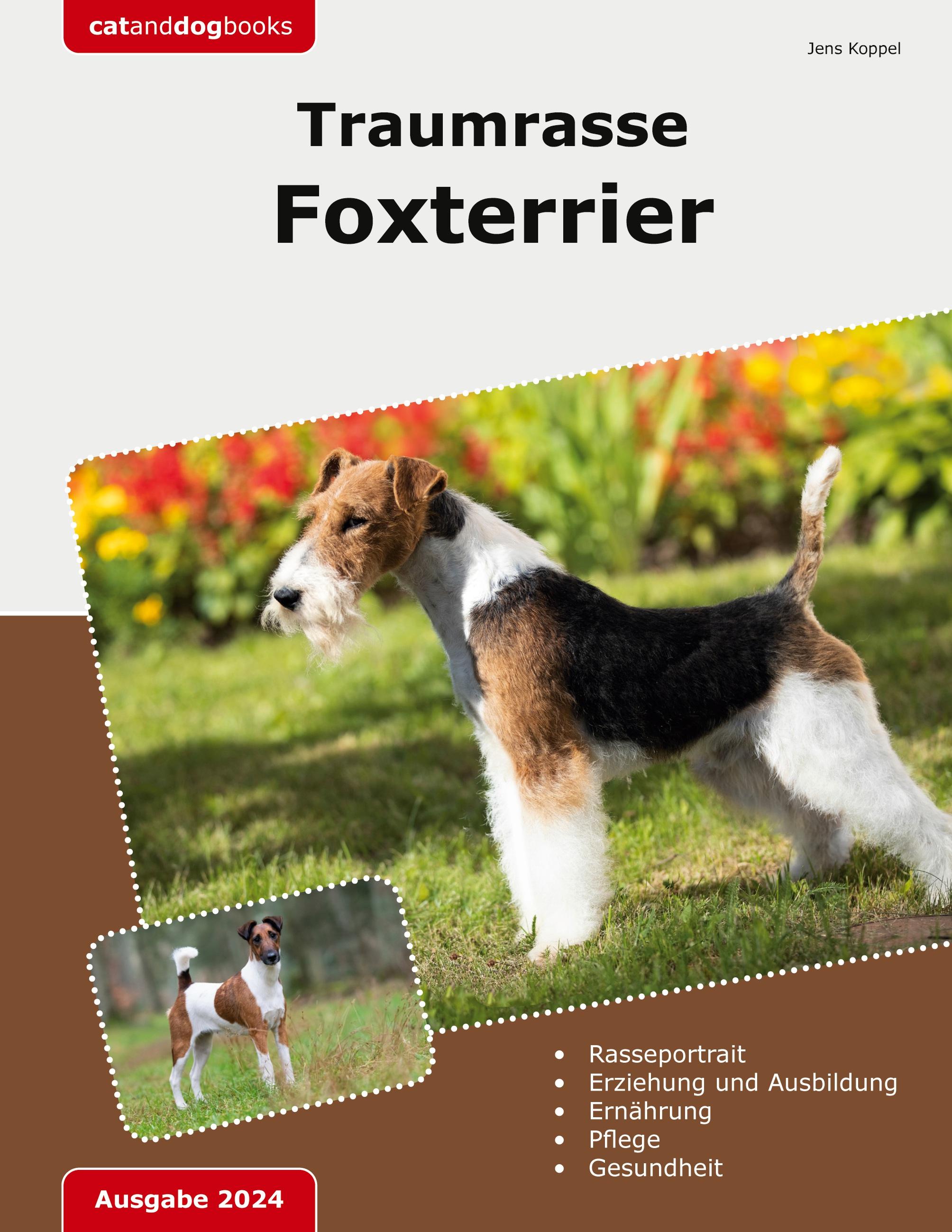 Traumrasse Foxterrier