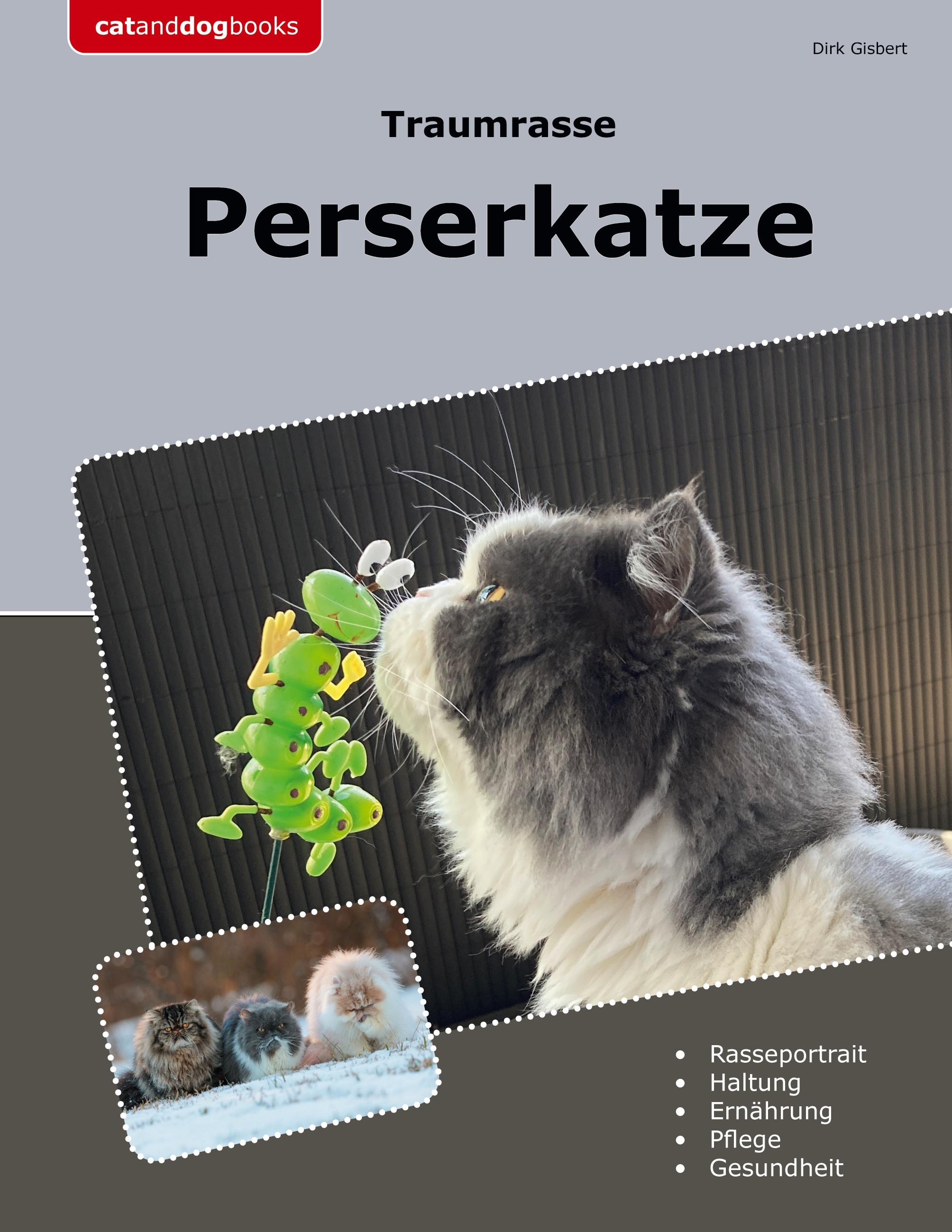 Traumrasse Perserkatze