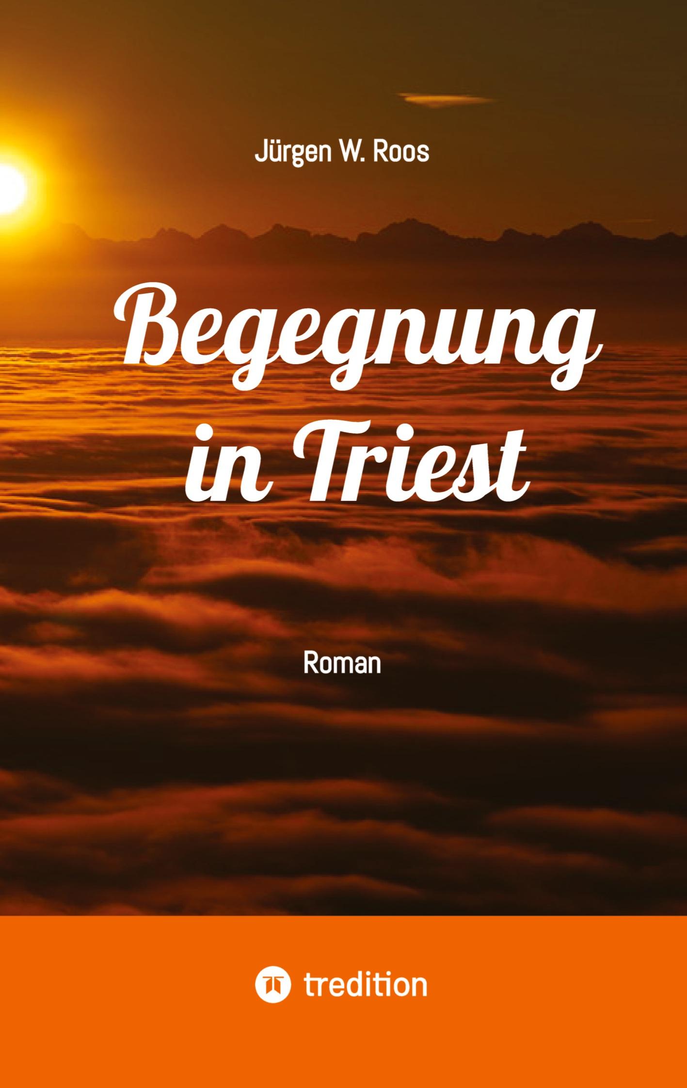 Begegnung in Triest - Ein spannender Politthriller