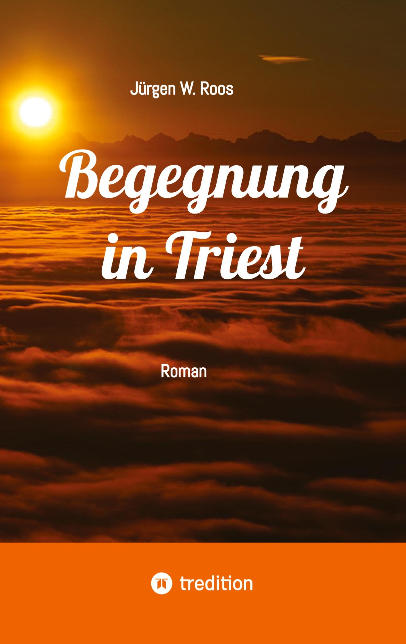 Begegnung in Triest - Ein spannender Politthriller