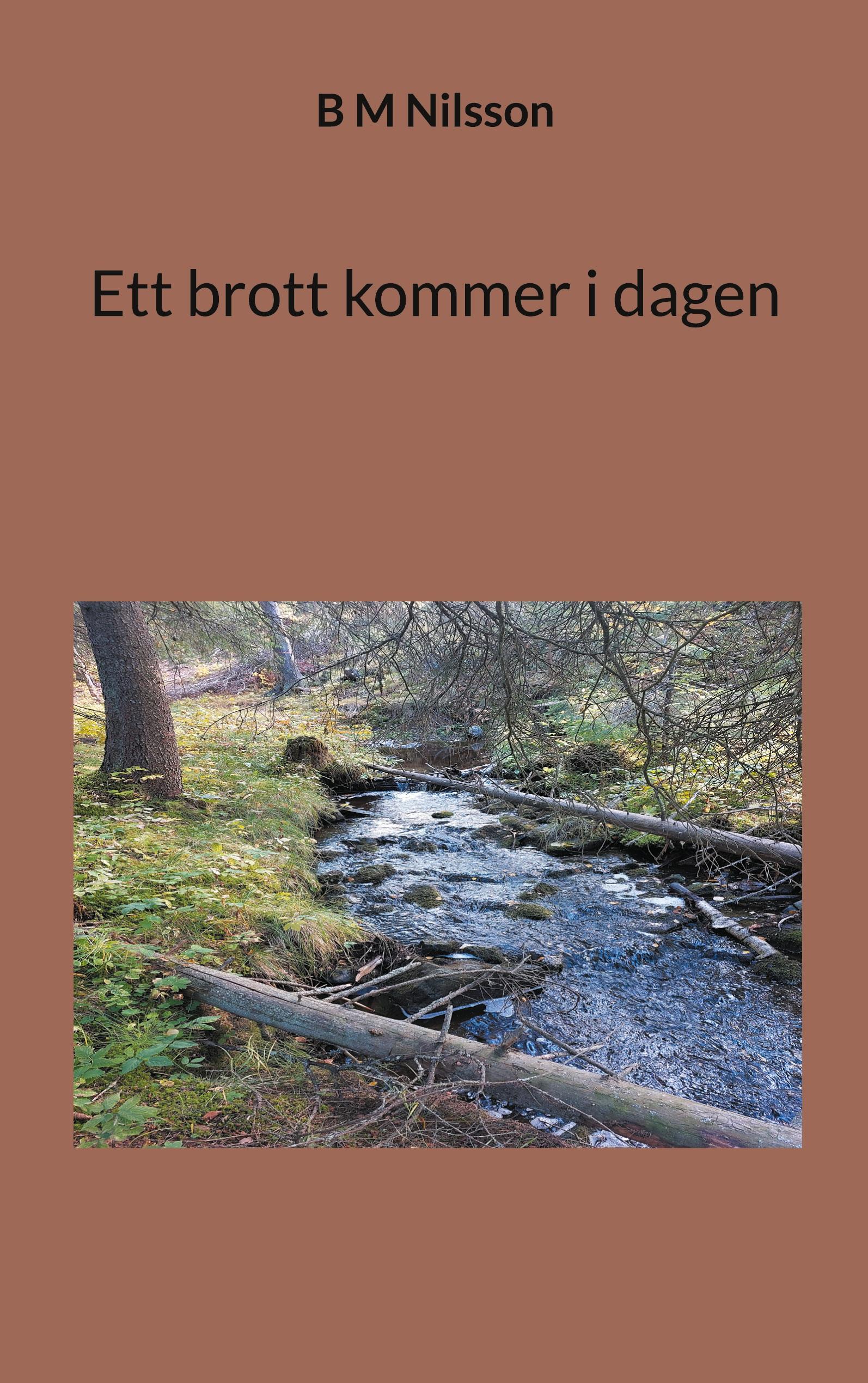 Ett brott kommer i dagen