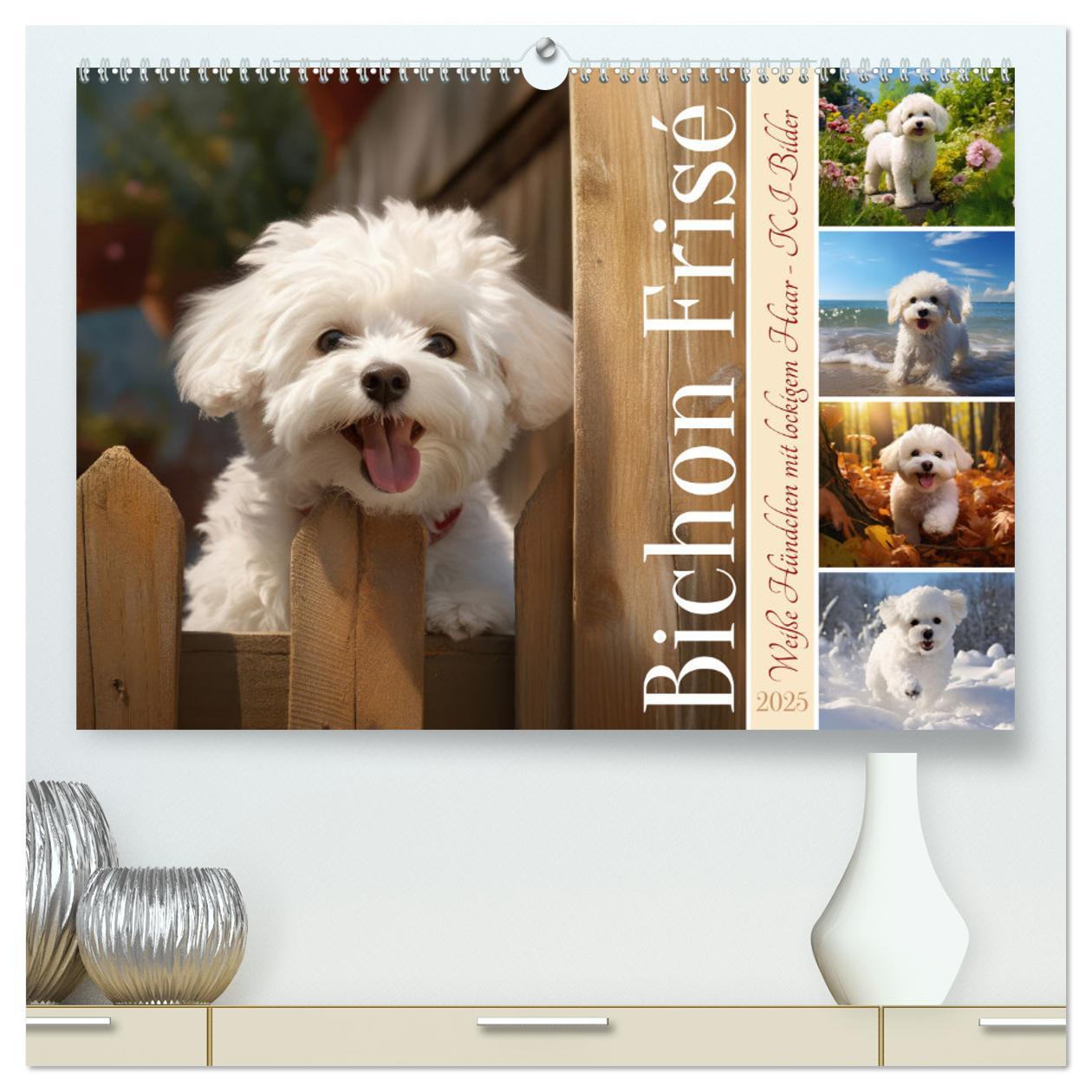 Bichon frisé, weiße Hündchen mit lockigem Haar (hochwertiger Premium Wandkalender 2025 DIN A2 quer), Kunstdruck in Hochglanz