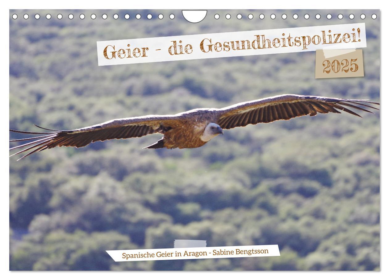 Geier - die Gesundheitspolizei! (Wandkalender 2025 DIN A4 quer), CALVENDO Monatskalender