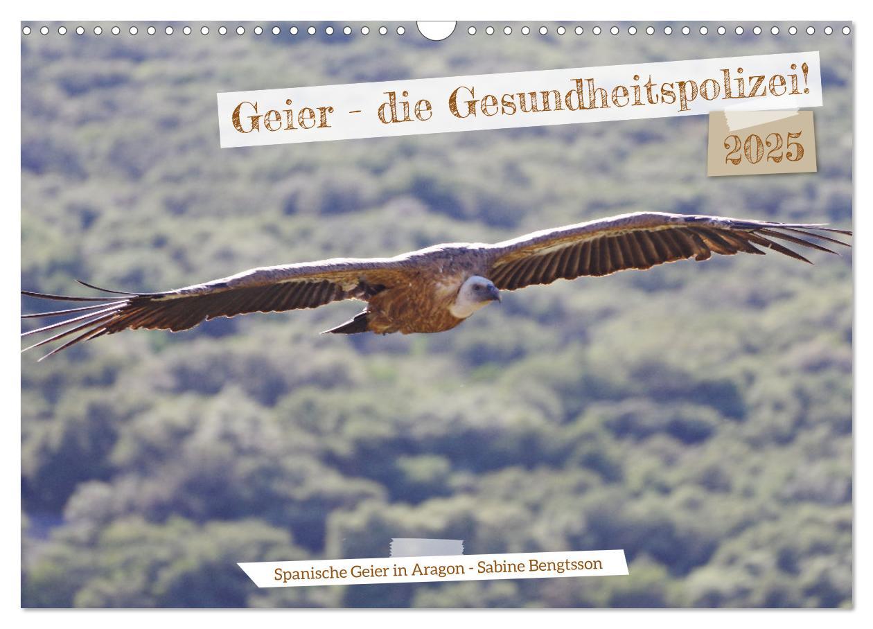 Geier - die Gesundheitspolizei! (Wandkalender 2025 DIN A3 quer), CALVENDO Monatskalender