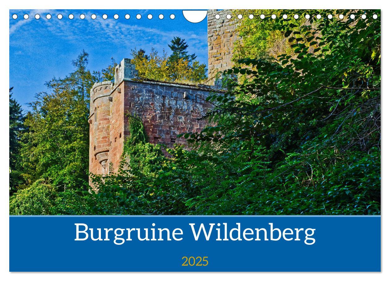 Burg Wildenberg (Wandkalender 2025 DIN A4 quer), CALVENDO Monatskalender