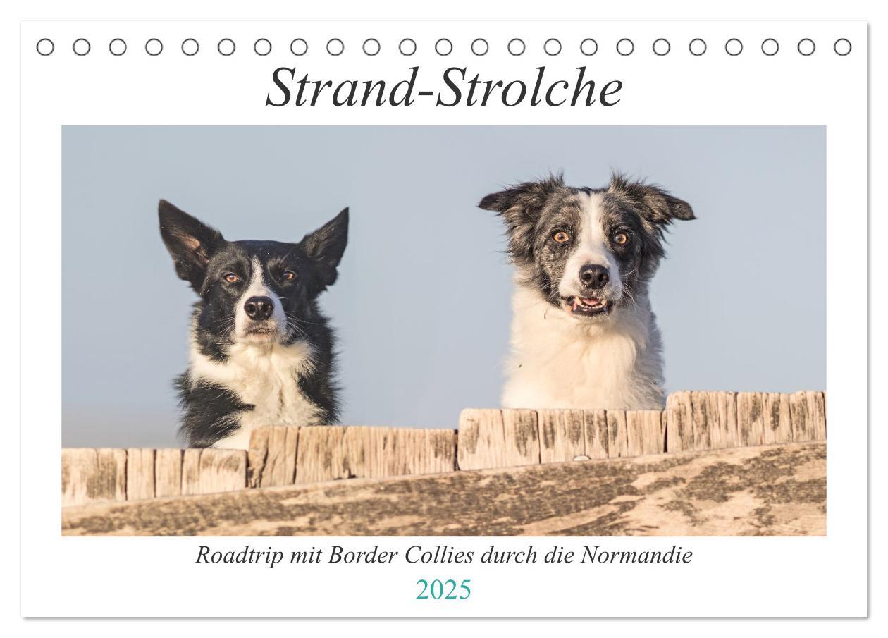 Strand-Strolche (Tischkalender 2025 DIN A5 quer), CALVENDO Monatskalender