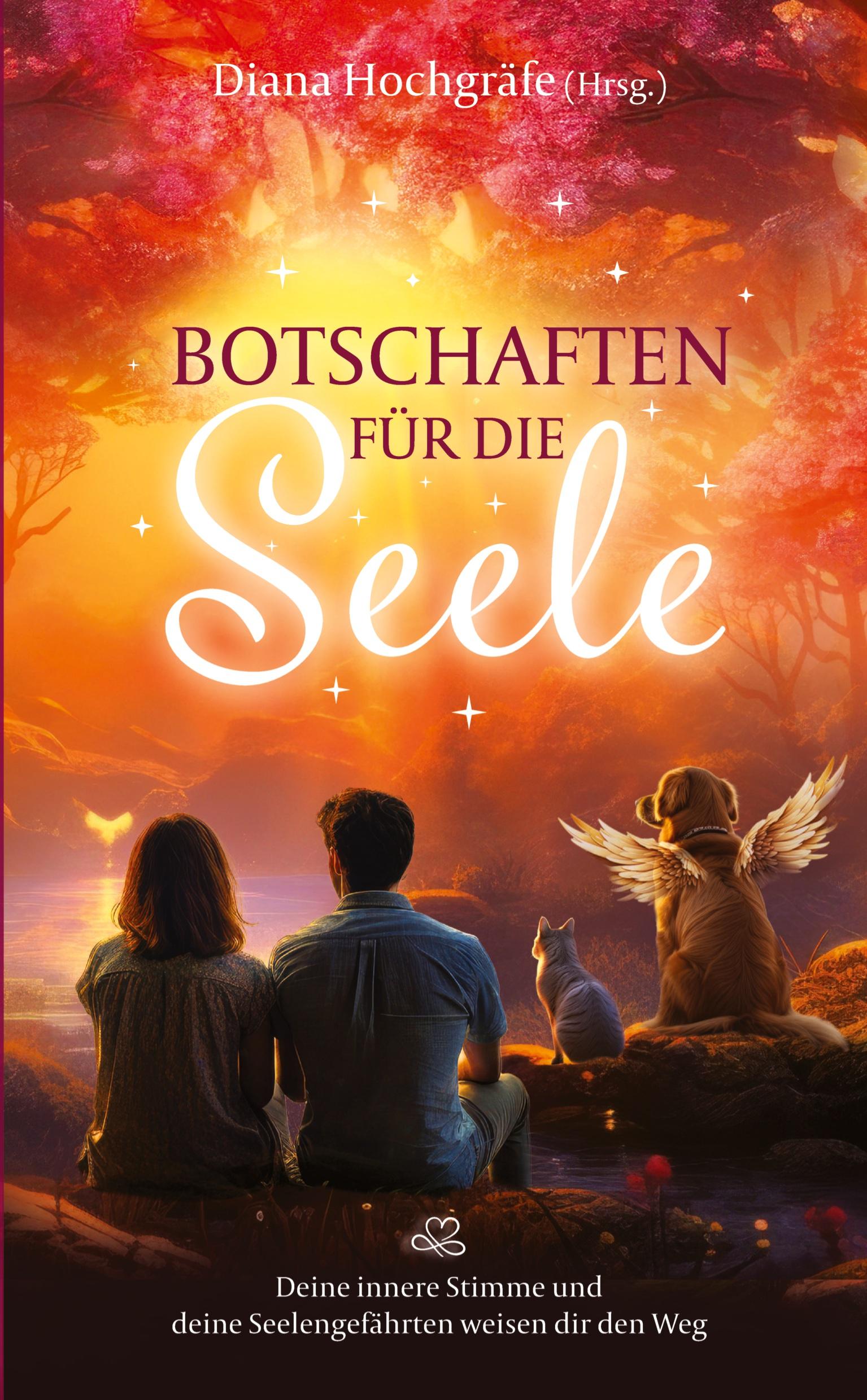 Botschaften für die Seele - Seelenbotschaften und Seelengeschichten, die dich inspirieren, dein Herz zu öffnen, deiner Intuition zu vertrauen und deinen Seelenplan zu leben