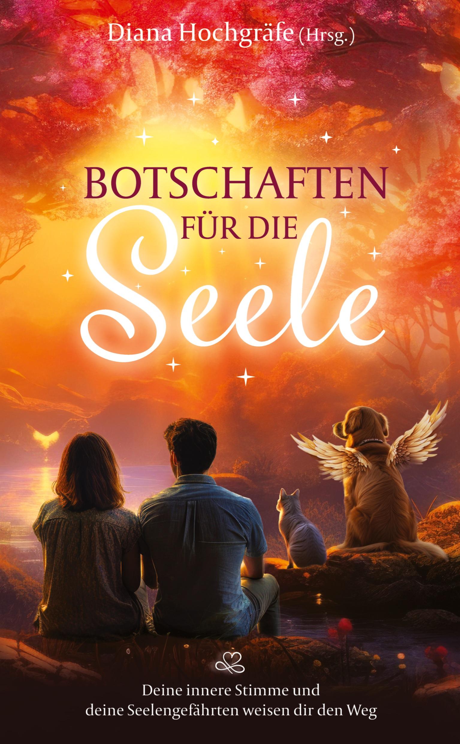 Botschaften für die Seele - Seelenbotschaften und Seelengeschichten, die dich inspirieren, dein Herz zu öffnen, deiner Intuition zu vertrauen und deinen Seelenplan zu leben