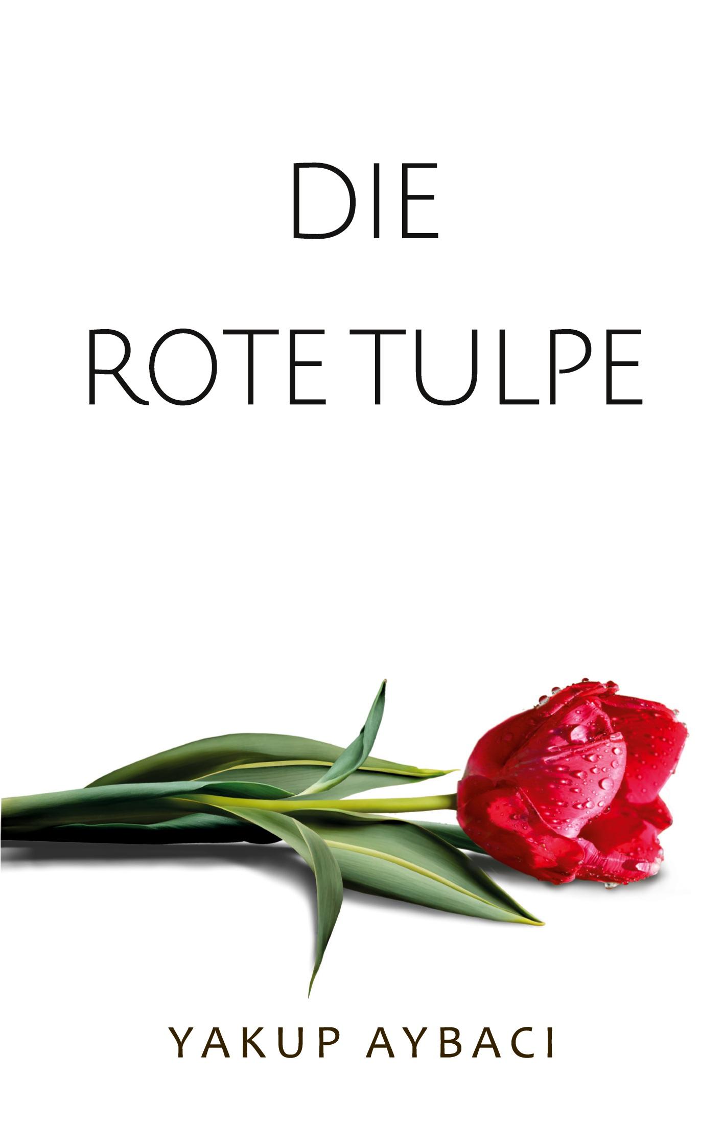 Die rote Tulpe