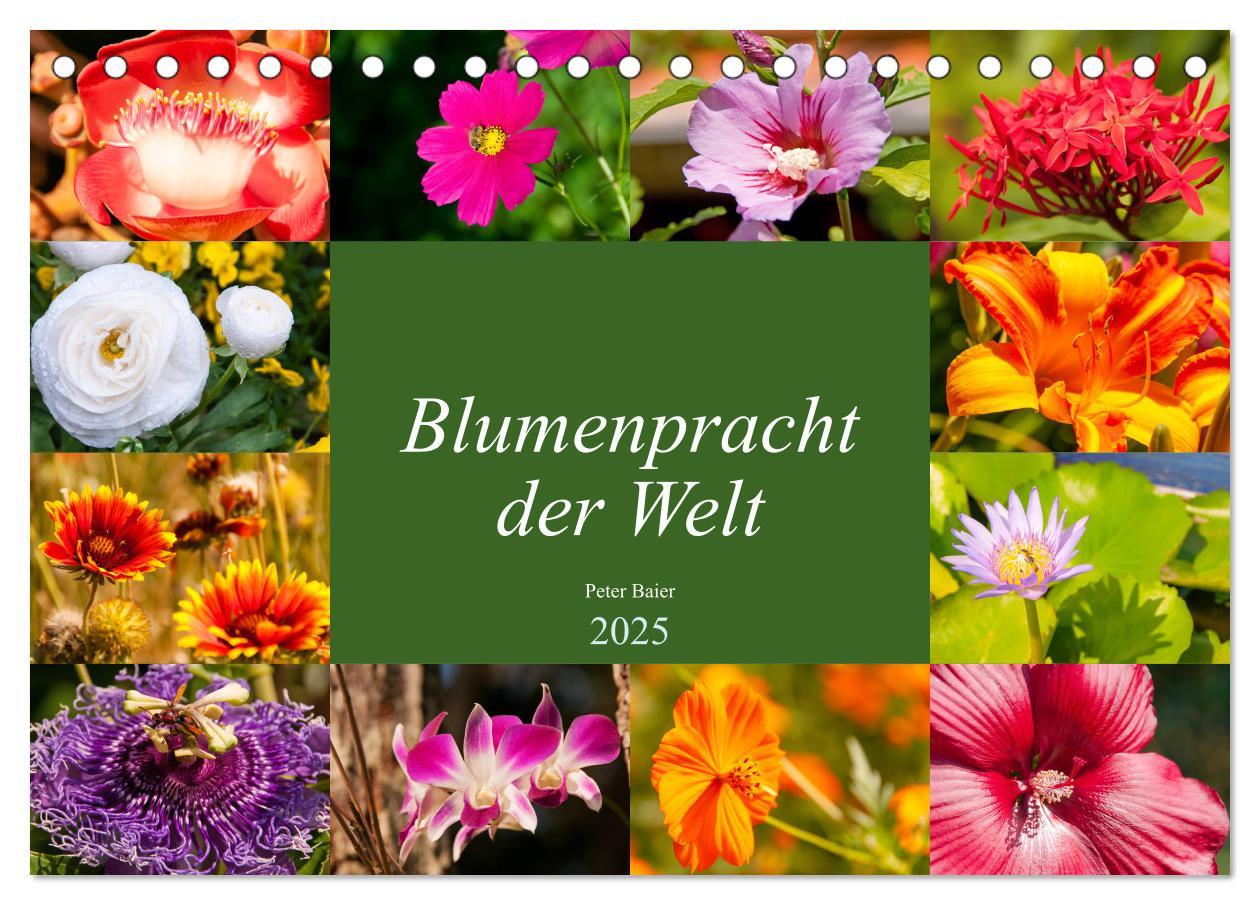 Blumenpracht der Welt (Tischkalender 2025 DIN A5 quer), CALVENDO Monatskalender