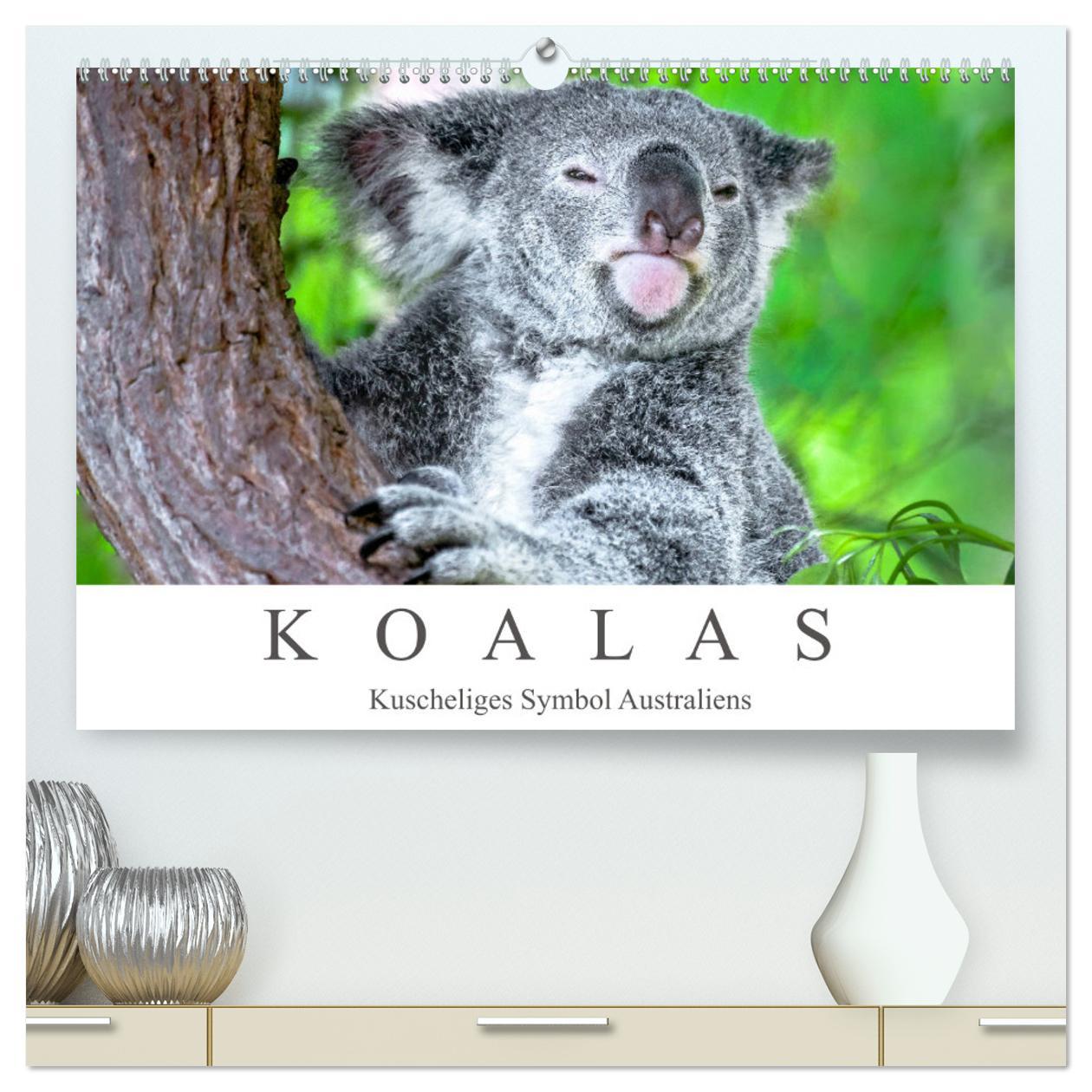 Koalas - Kuscheliges Symbol Australiens (hochwertiger Premium Wandkalender 2025 DIN A2 quer), Kunstdruck in Hochglanz