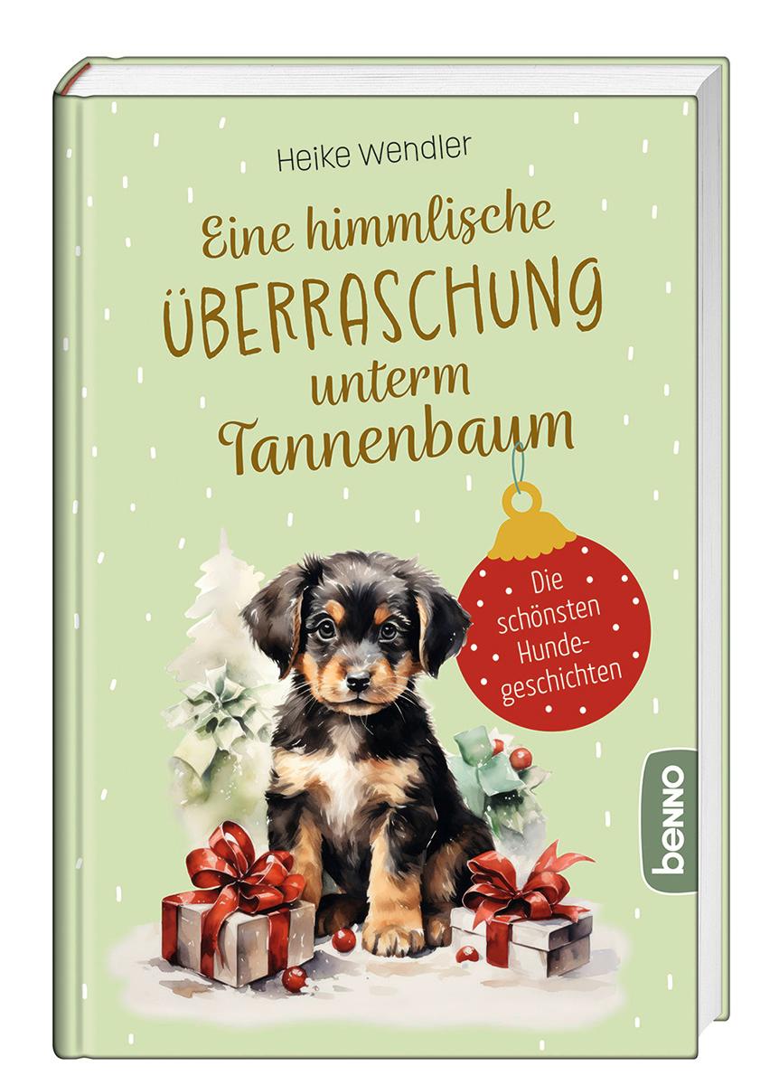 Eine himmlische Überraschung unterm Tannenbaum