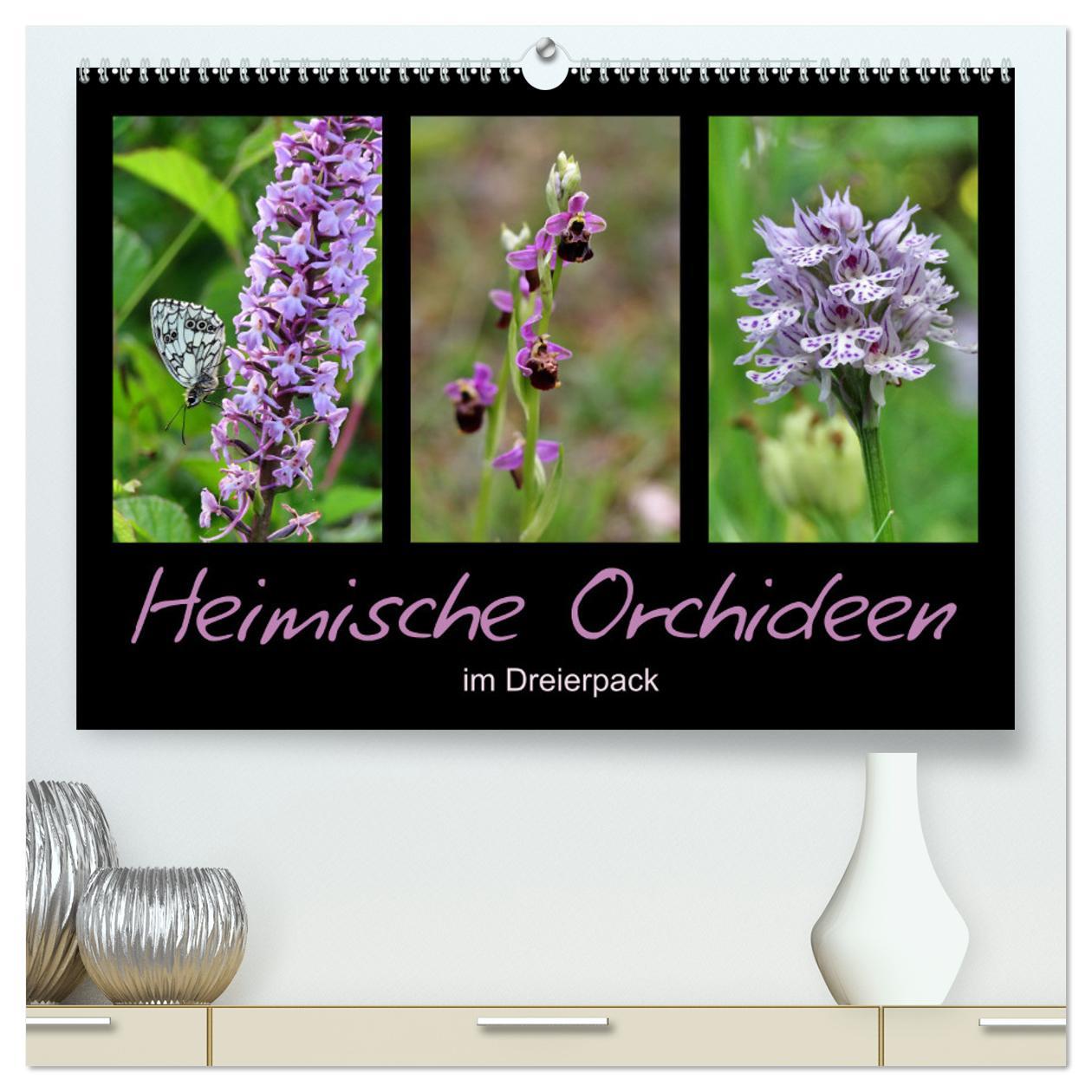 Heimische Orchideen im Dreierpack (hochwertiger Premium Wandkalender 2025 DIN A2 quer), Kunstdruck in Hochglanz