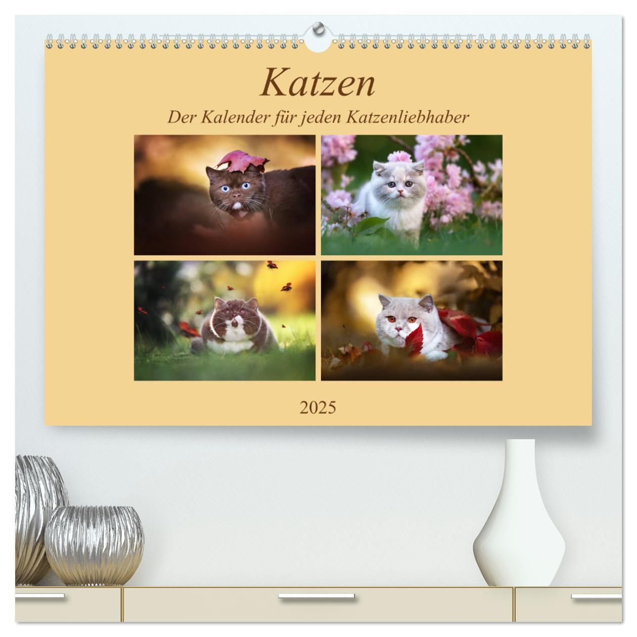 Katzen - Der Kalender für jeden Katzenliebhaber (hochwertiger Premium Wandkalender 2025 DIN A2 quer), Kunstdruck in Hochglanz