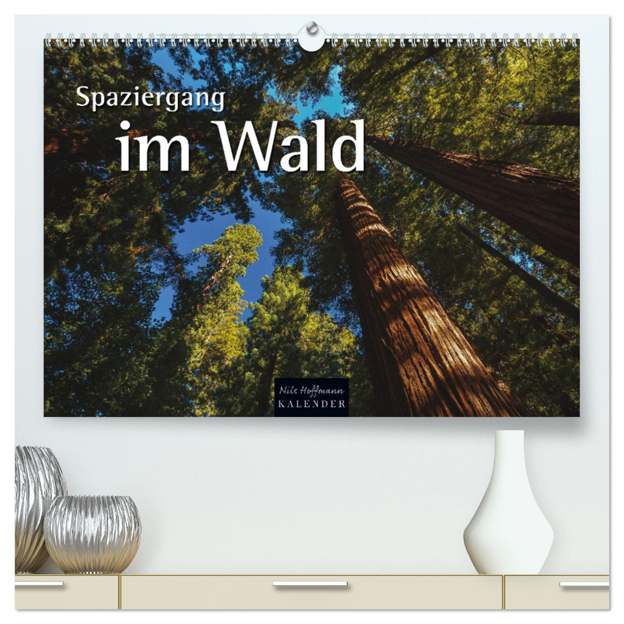 Spaziergang im Wald (hochwertiger Premium Wandkalender 2025 DIN A2 quer), Kunstdruck in Hochglanz