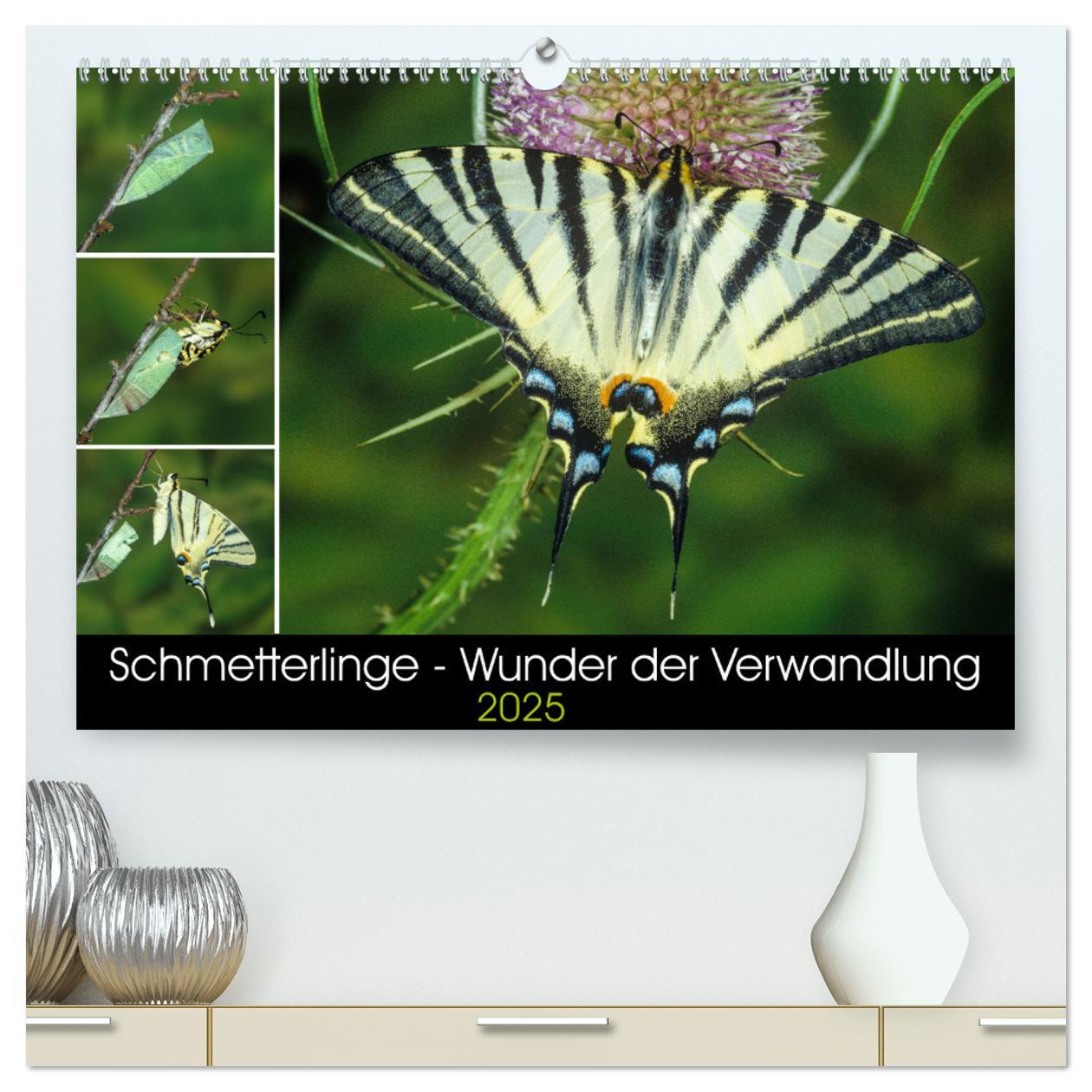 Schmetterlinge - Wunder der Verwandlung (hochwertiger Premium Wandkalender 2025 DIN A2 quer), Kunstdruck in Hochglanz