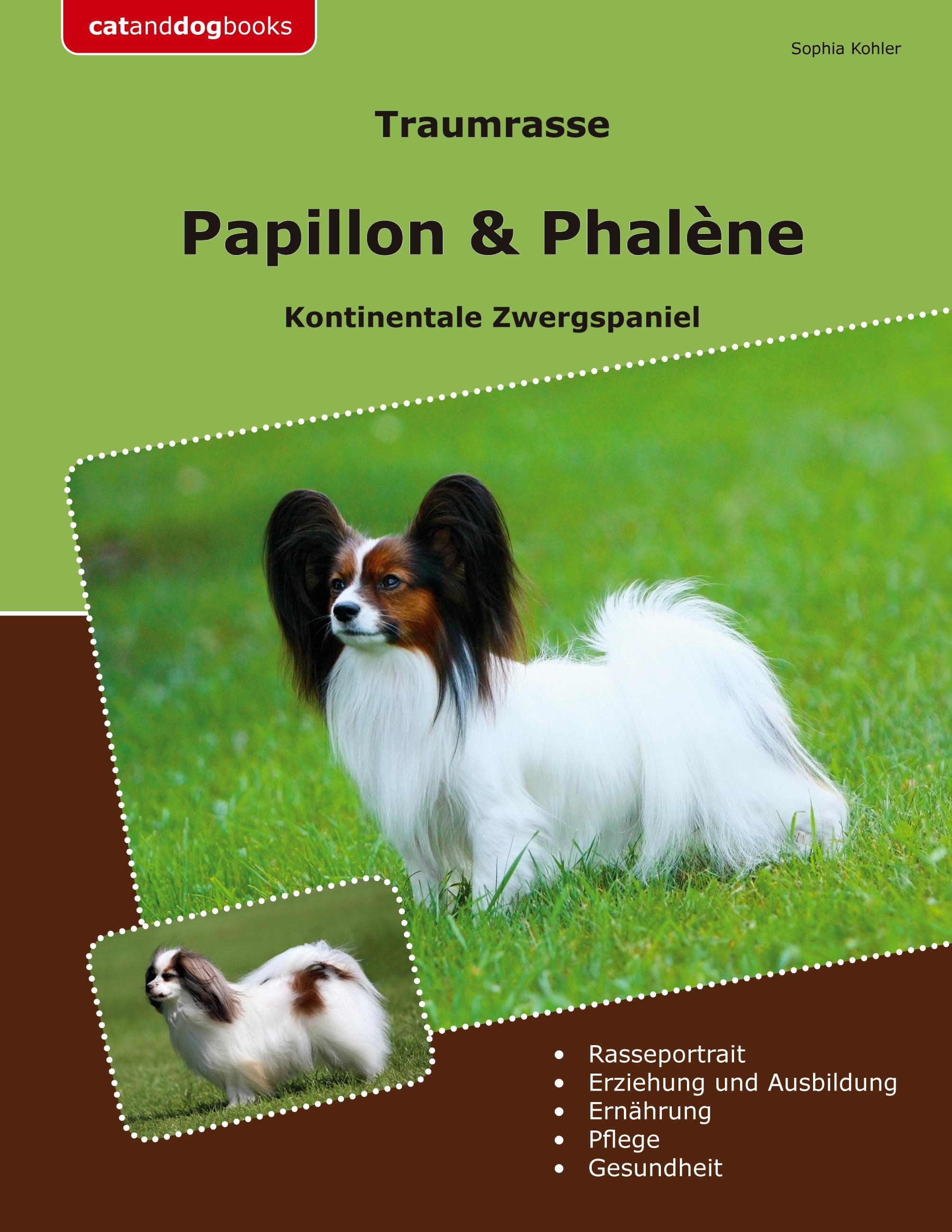 Traumrasse Papillon & Phalène