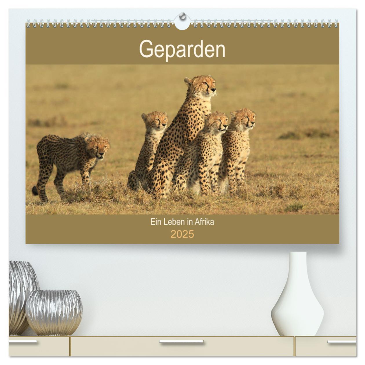 Geparden - Ein Leben in Afrika (hochwertiger Premium Wandkalender 2025 DIN A2 quer), Kunstdruck in Hochglanz