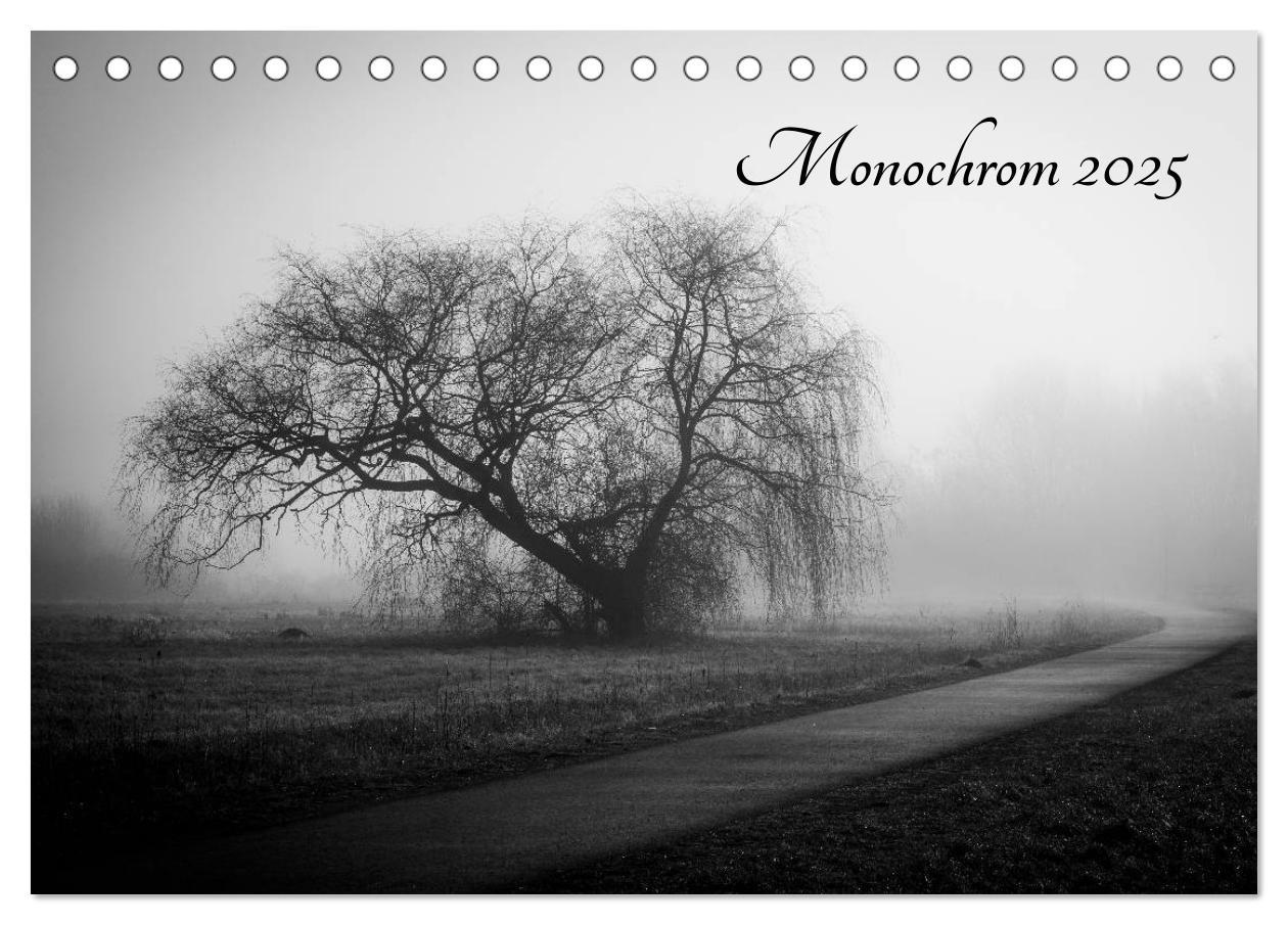 Monochrom 2025 (Tischkalender 2025 DIN A5 quer), CALVENDO Monatskalender