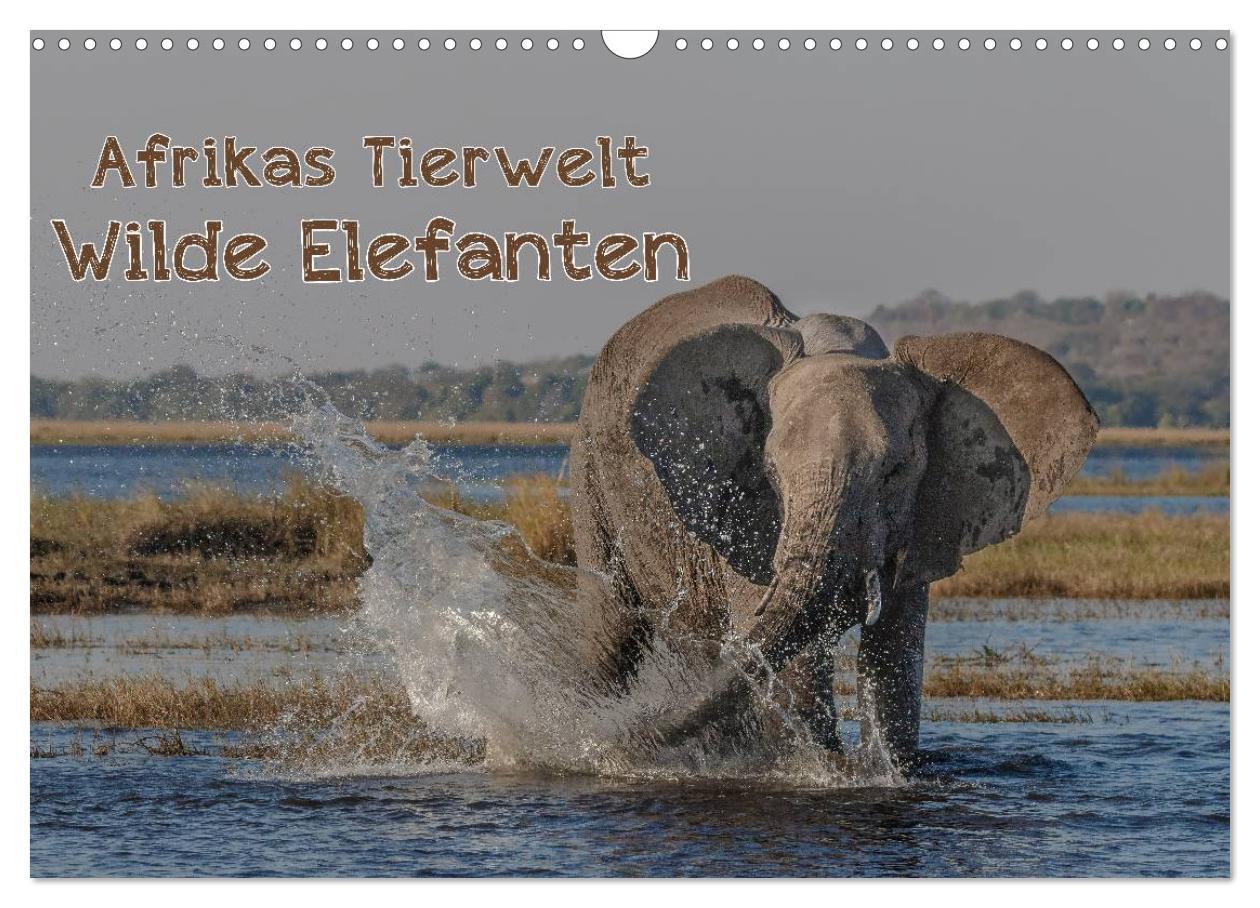 Afrikas Tierwelt - Wilde Elefanten (Wandkalender 2025 DIN A3 quer), CALVENDO Monatskalender