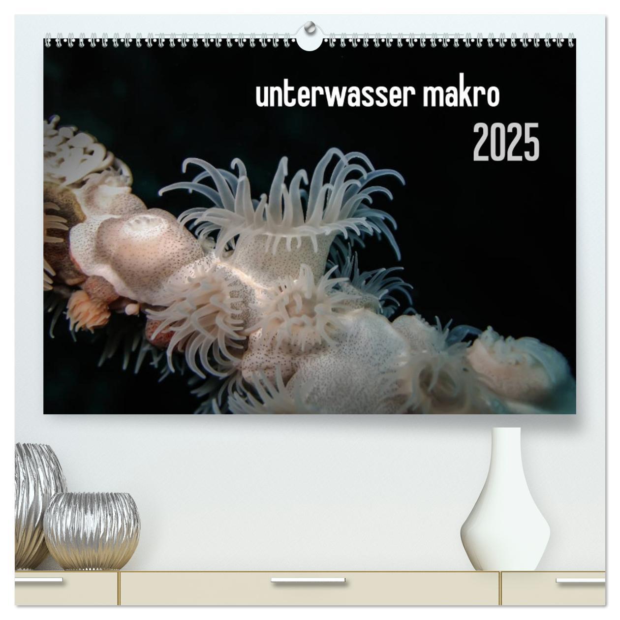 unterwasser makro 2025 (hochwertiger Premium Wandkalender 2025 DIN A2 quer), Kunstdruck in Hochglanz