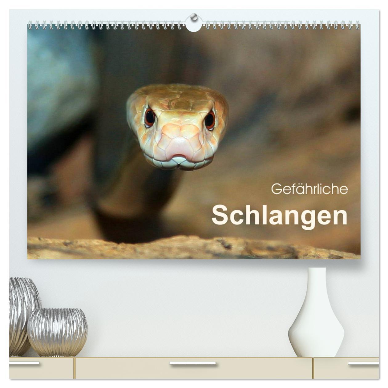 Gefährliche Schlangen (hochwertiger Premium Wandkalender 2025 DIN A2 quer), Kunstdruck in Hochglanz