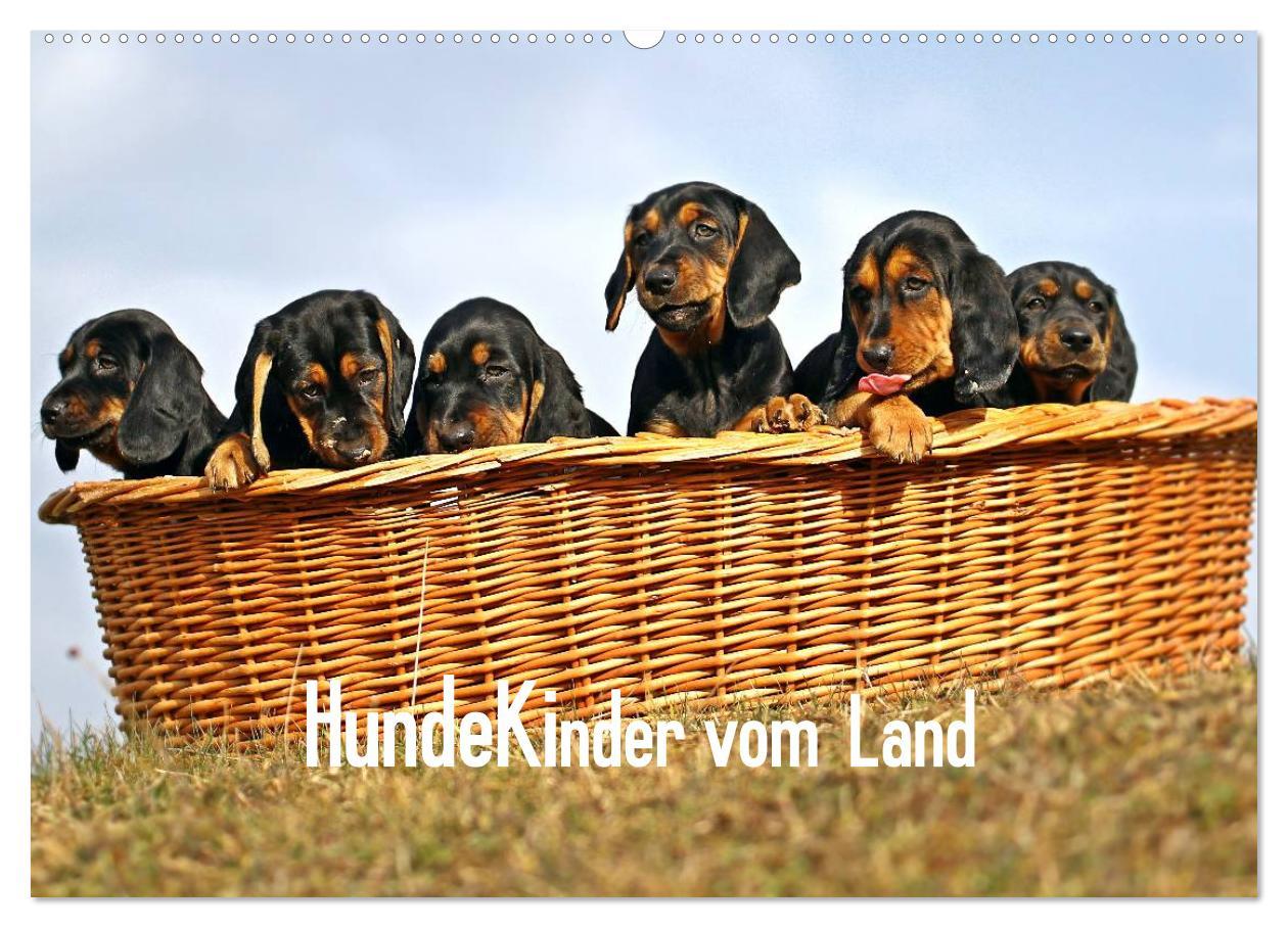 Hundekinder vom Land (Wandkalender 2025 DIN A2 quer), CALVENDO Monatskalender