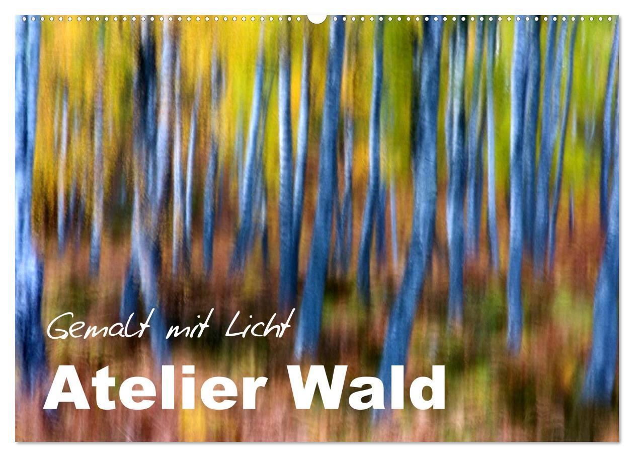 Atelier Wald - gemalt mit Licht (Wandkalender 2025 DIN A2 quer), CALVENDO Monatskalender