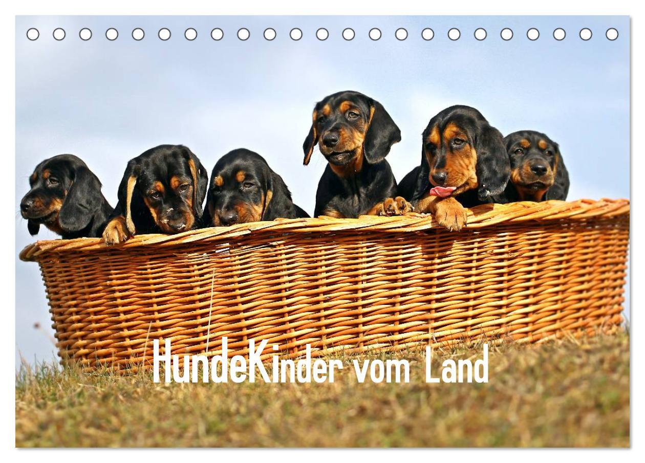 Hundekinder vom Land (Tischkalender 2025 DIN A5 quer), CALVENDO Monatskalender