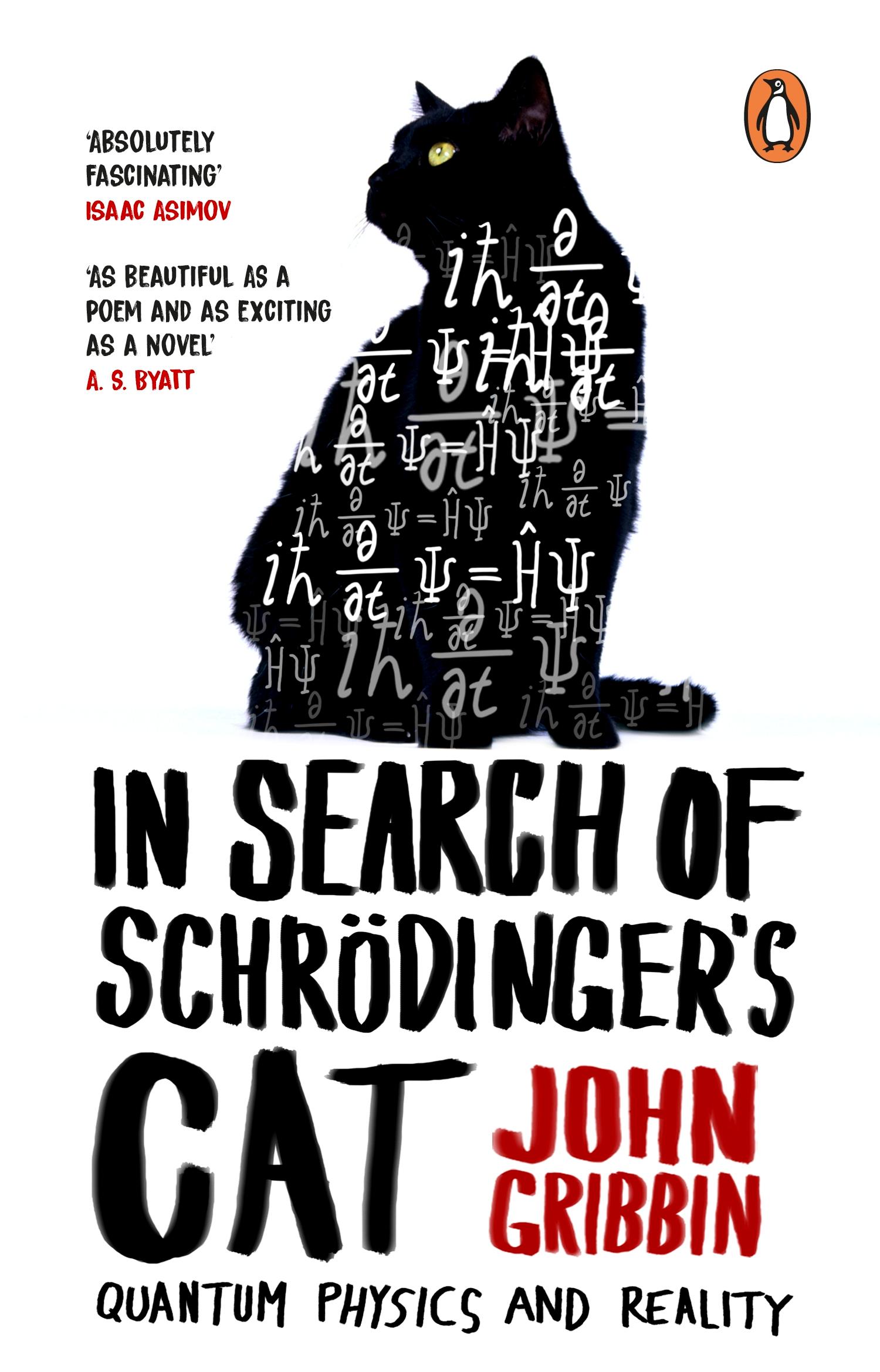 In Search Of Schrodinger's Cat