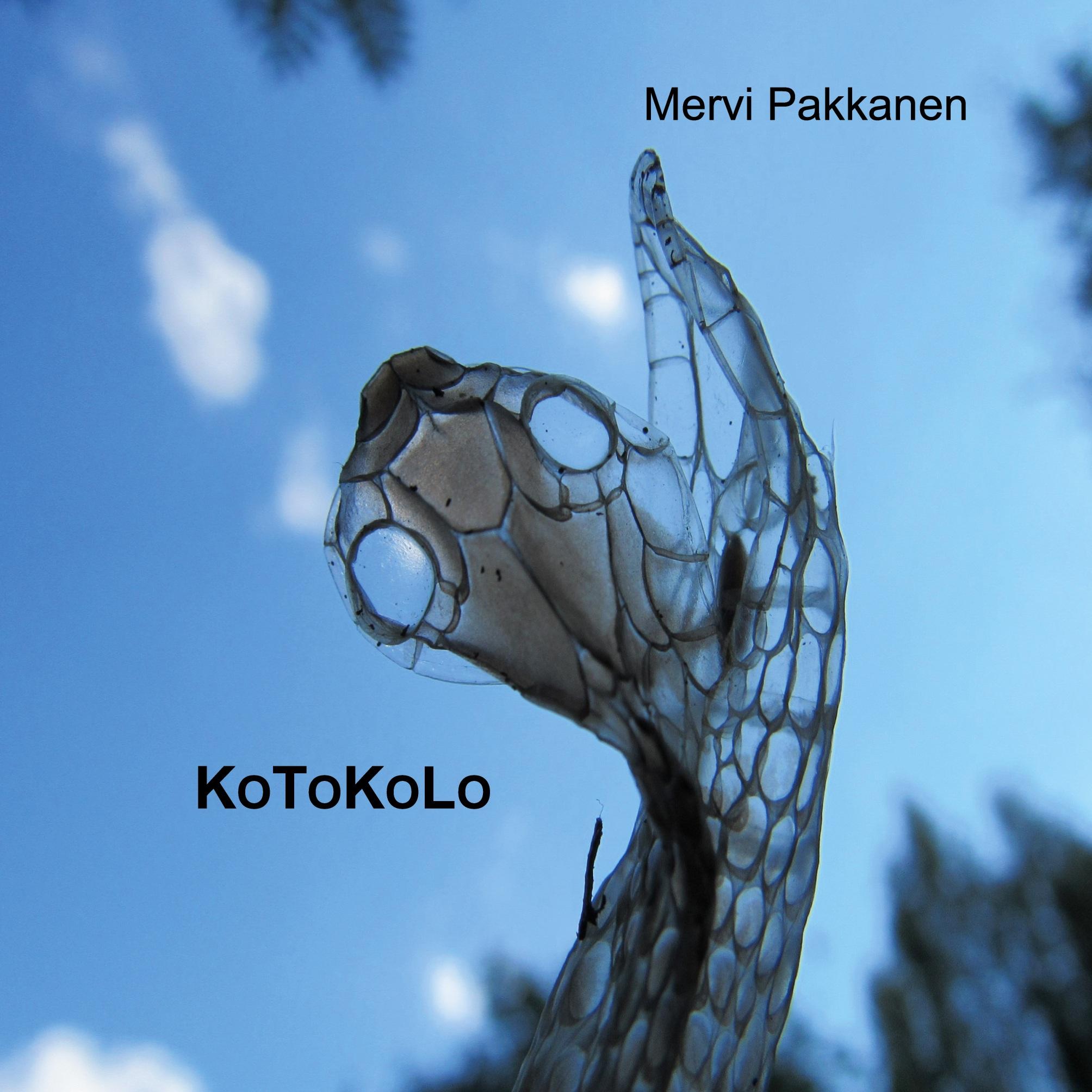 Kotokolo