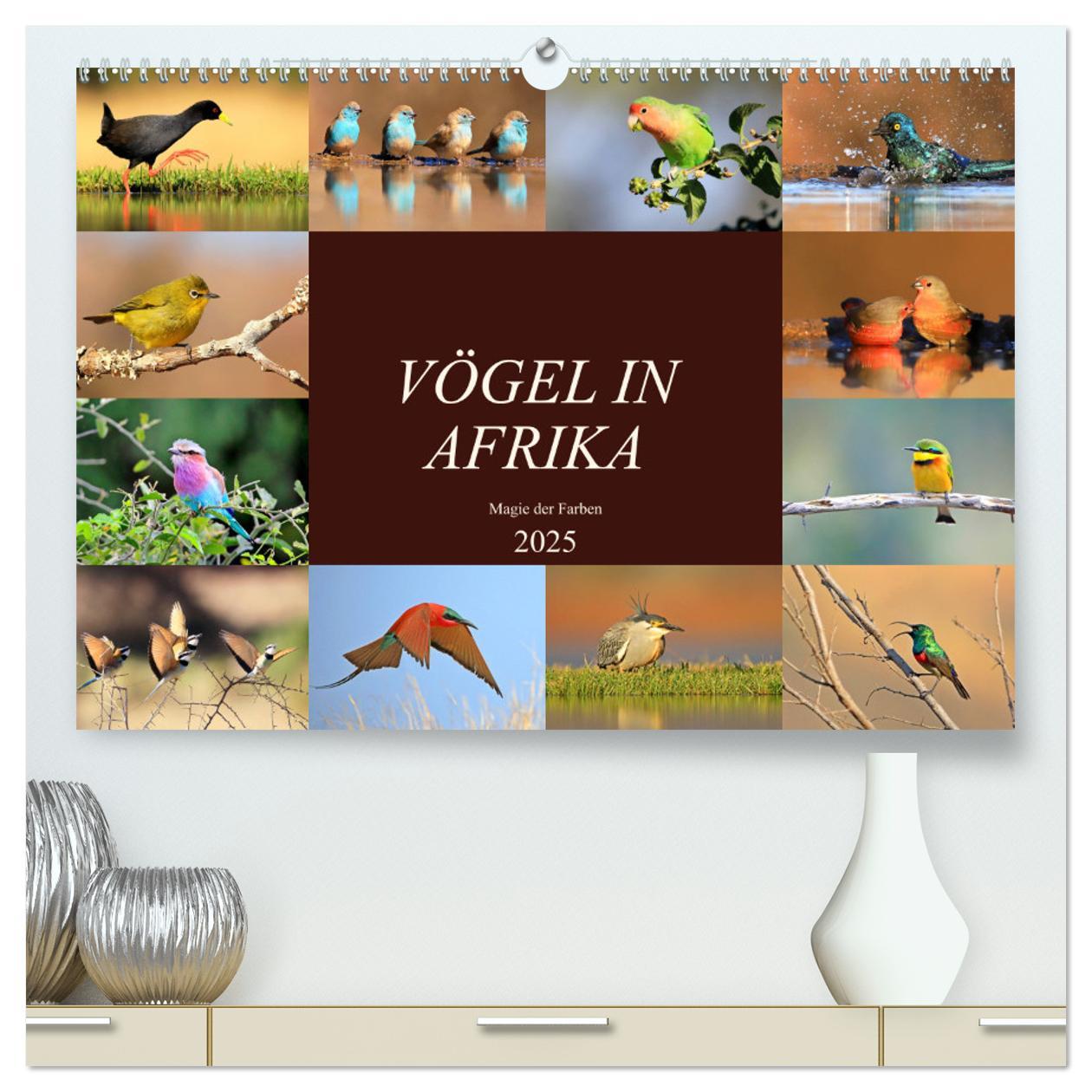 Vögel in Afrika - Magie der Farben (hochwertiger Premium Wandkalender 2025 DIN A2 quer), Kunstdruck in Hochglanz