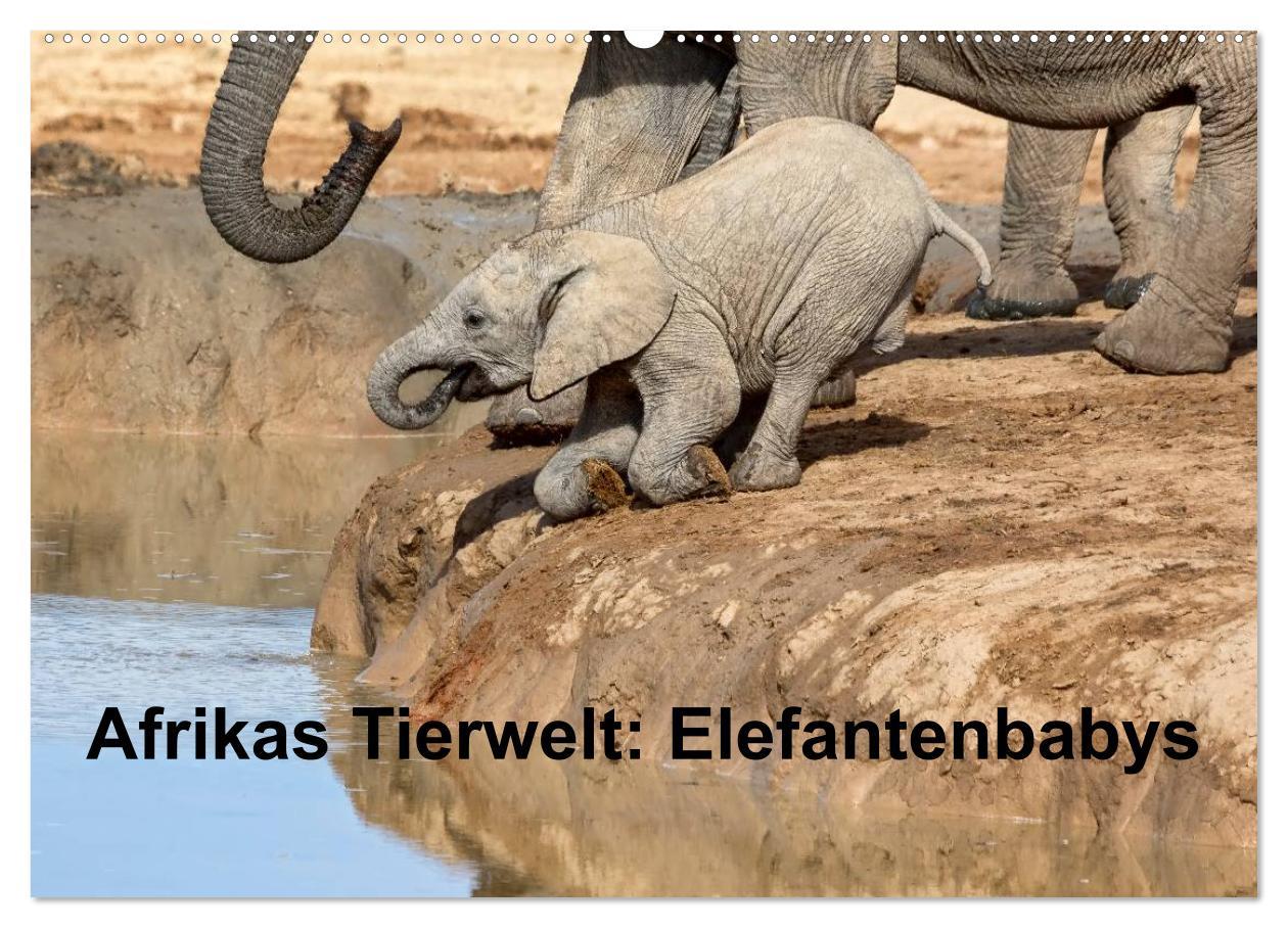 Afrikas Tierwelt: Elefantenbabys (Wandkalender 2025 DIN A2 quer), CALVENDO Monatskalender