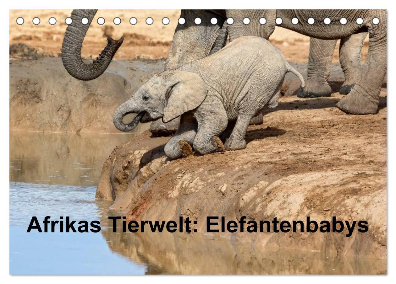 Afrikas Tierwelt: Elefantenbabys (Tischkalender 2025 DIN A5 quer), CALVENDO Monatskalender