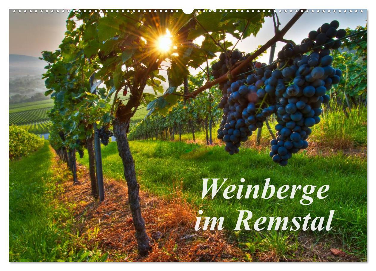 Weinberge im Remstal (Wandkalender 2025 DIN A2 quer), CALVENDO Monatskalender