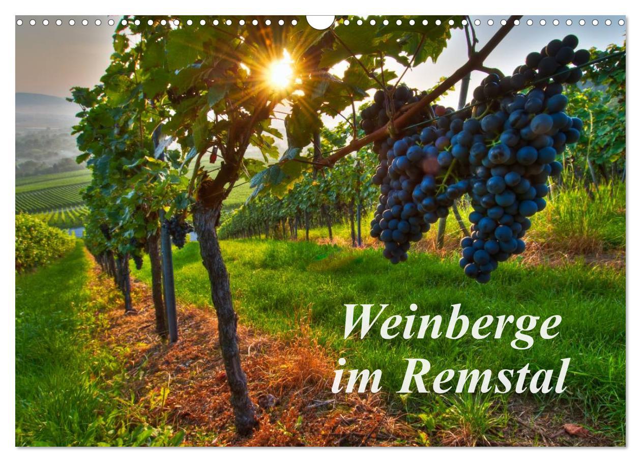 Weinberge im Remstal (Wandkalender 2025 DIN A3 quer), CALVENDO Monatskalender