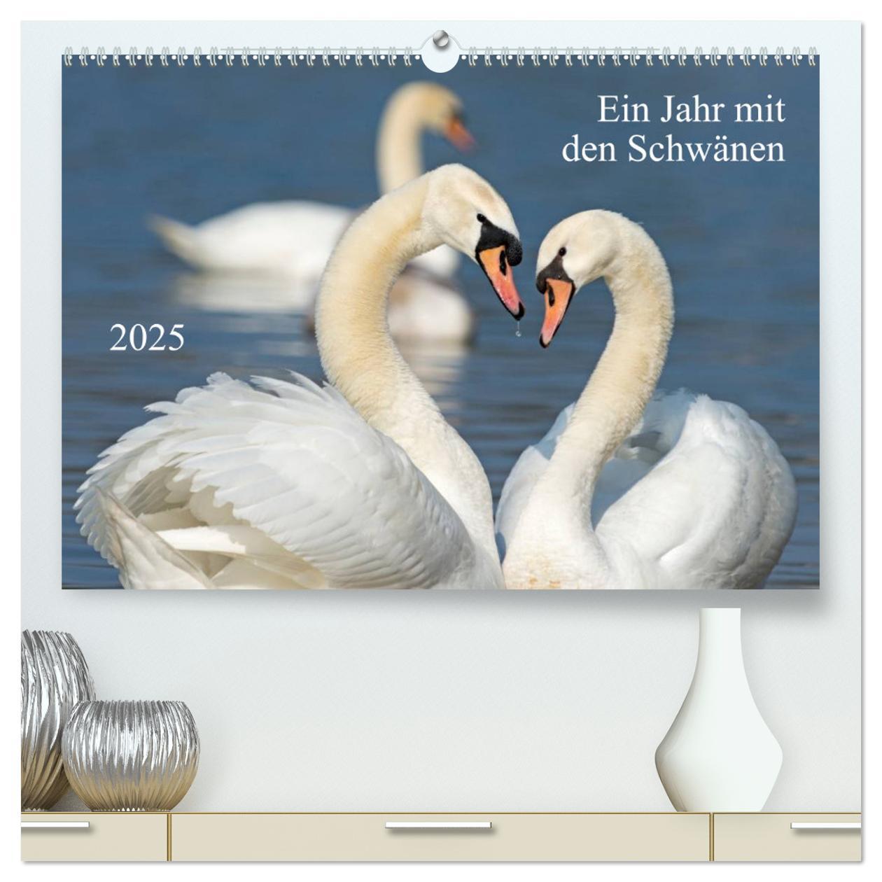 Ein Jahr mit den Schwänen (hochwertiger Premium Wandkalender 2025 DIN A2 quer), Kunstdruck in Hochglanz